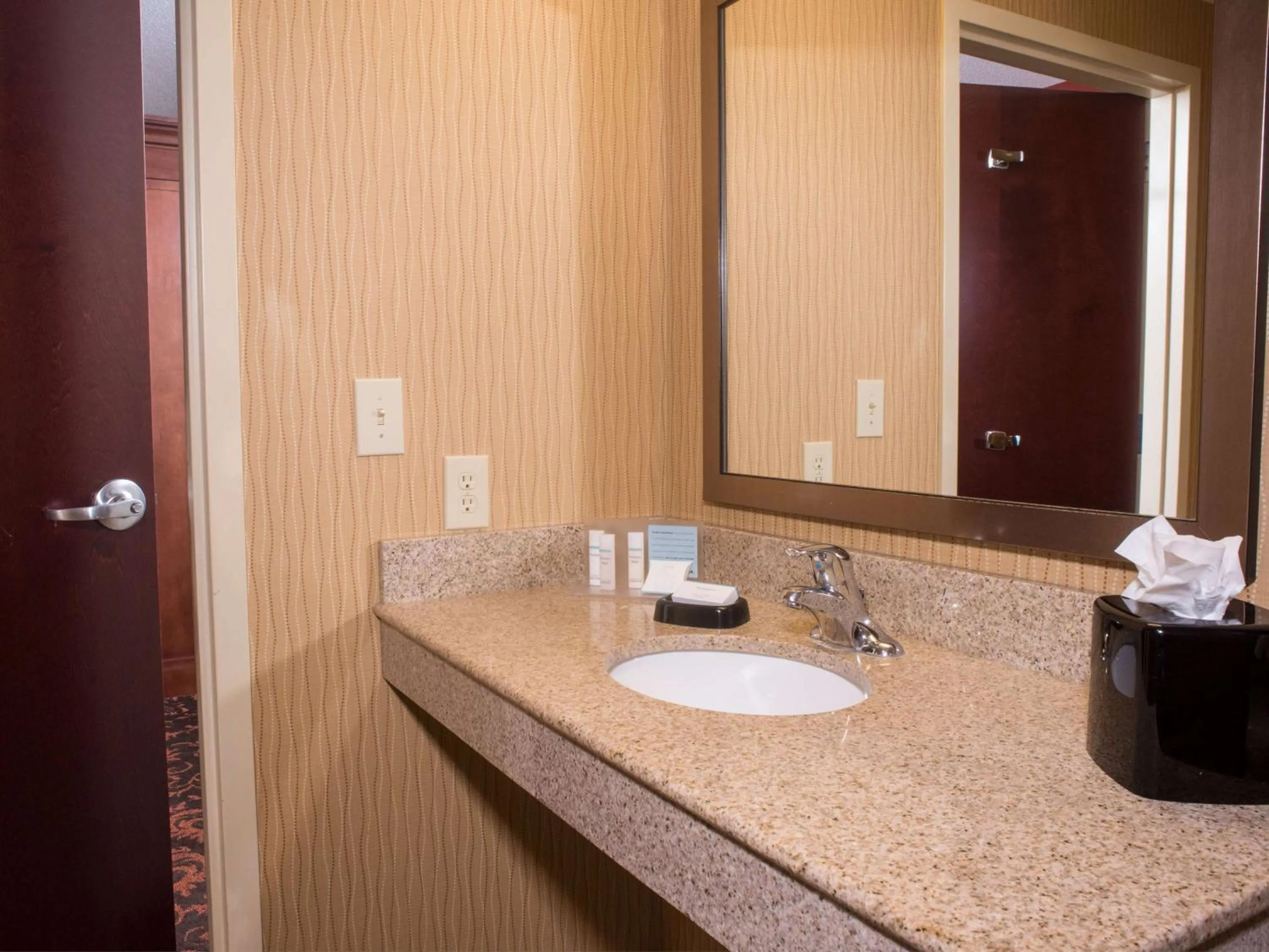 Bathroom in Hampton Inn and Suites Woodstock, Virginia