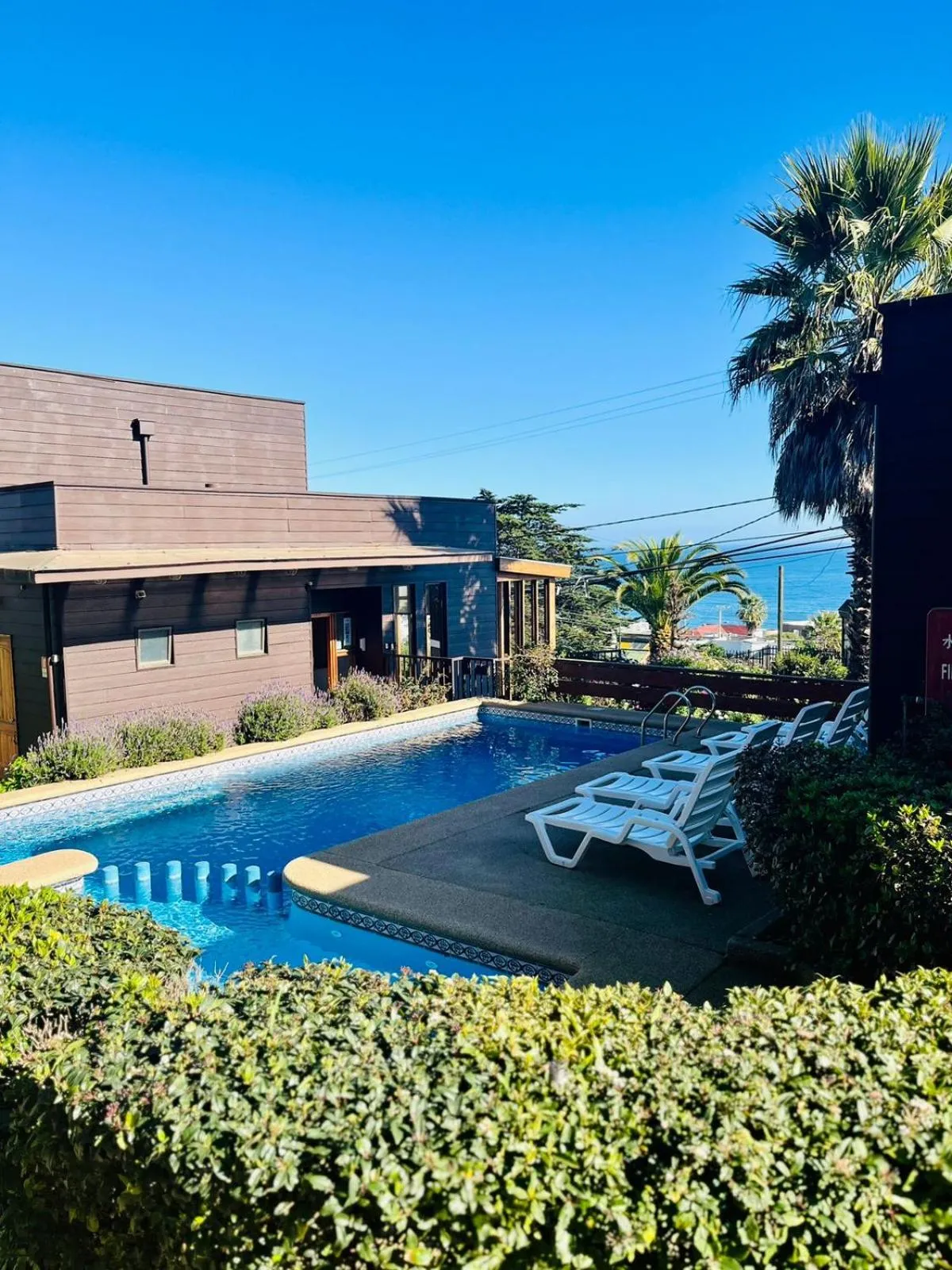 Pool view in Blumen Hotel
