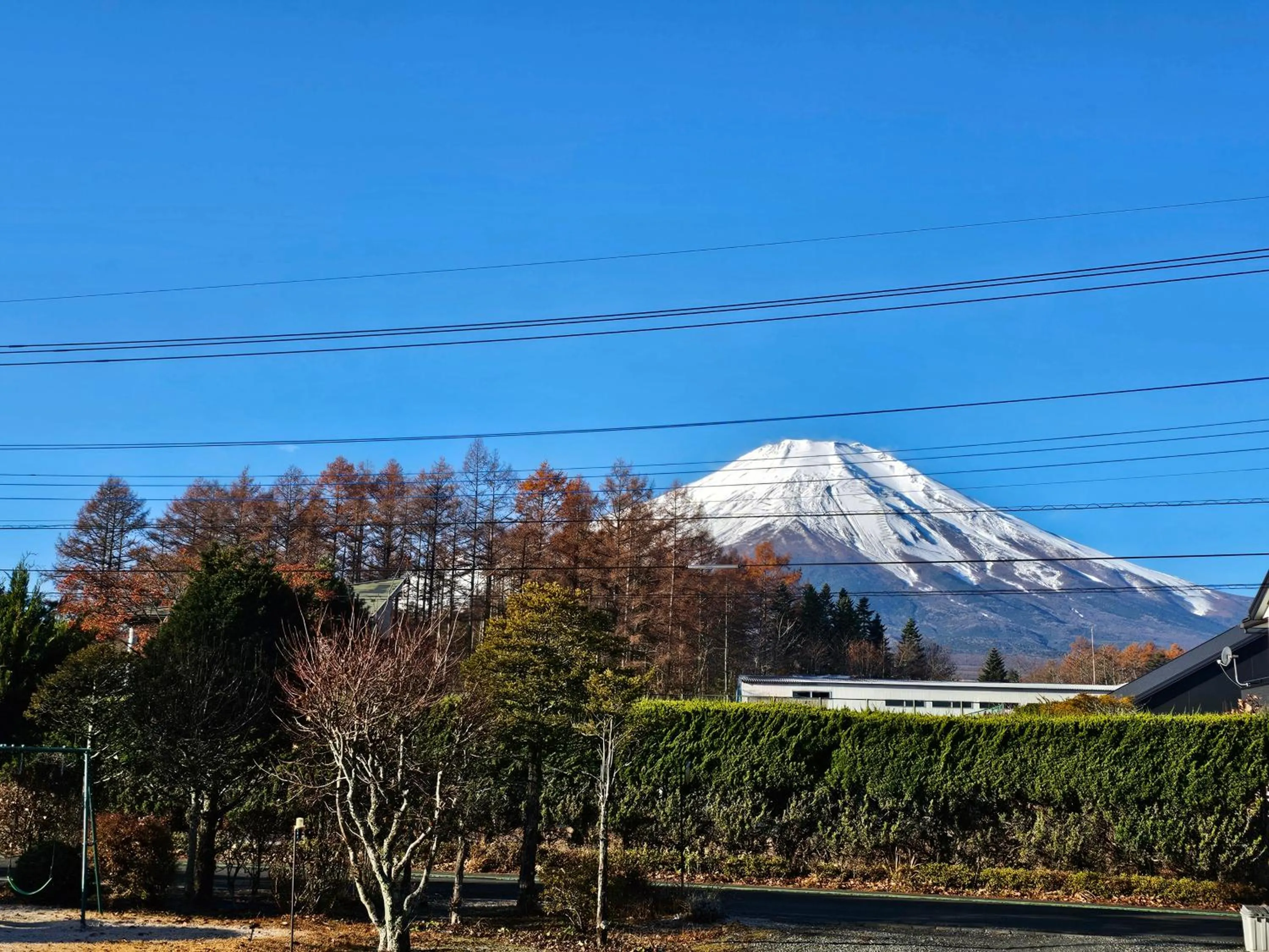 Natural landscape in Pension Avenue