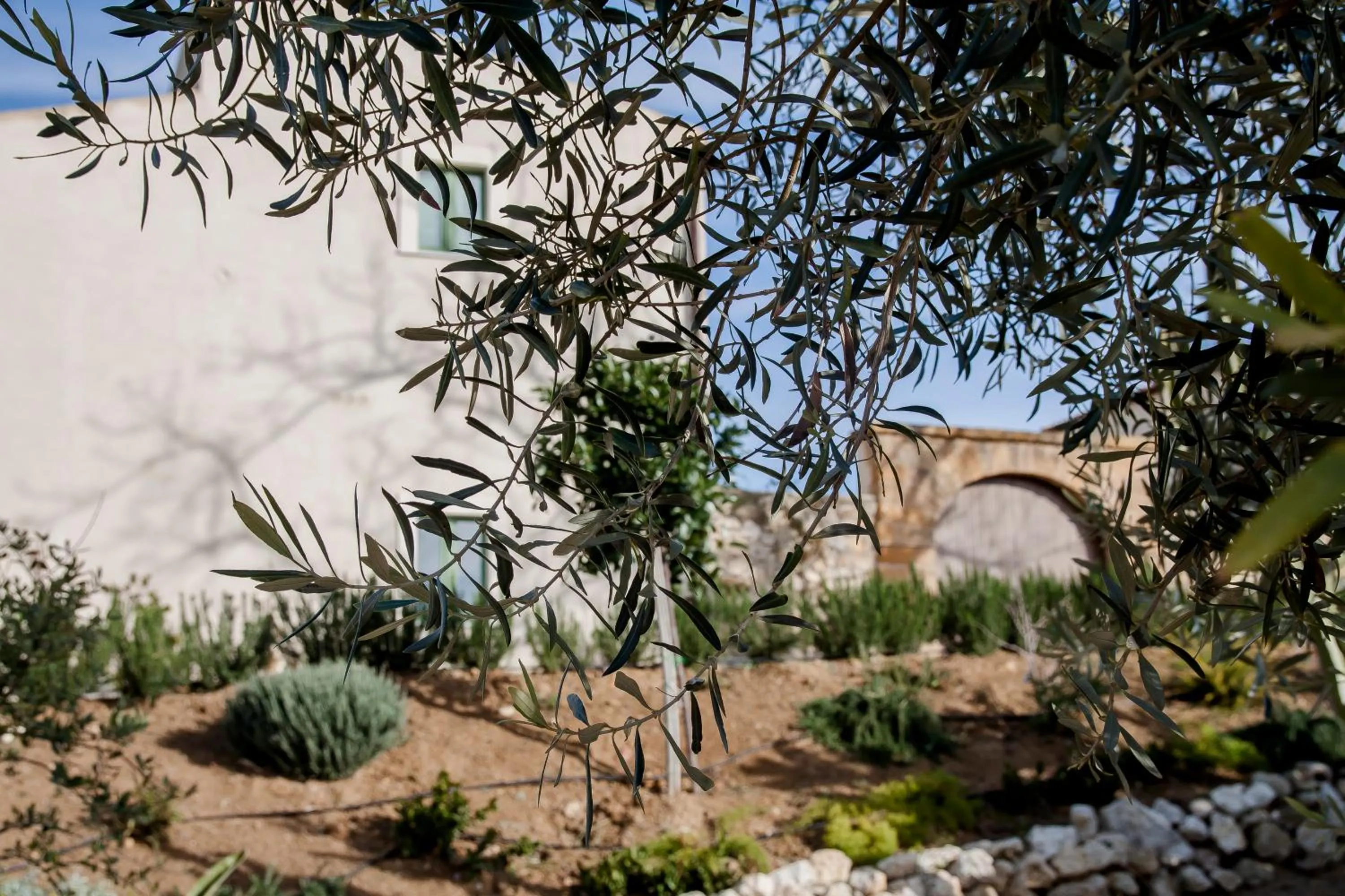 Property building in Resort Fontes Episcopi