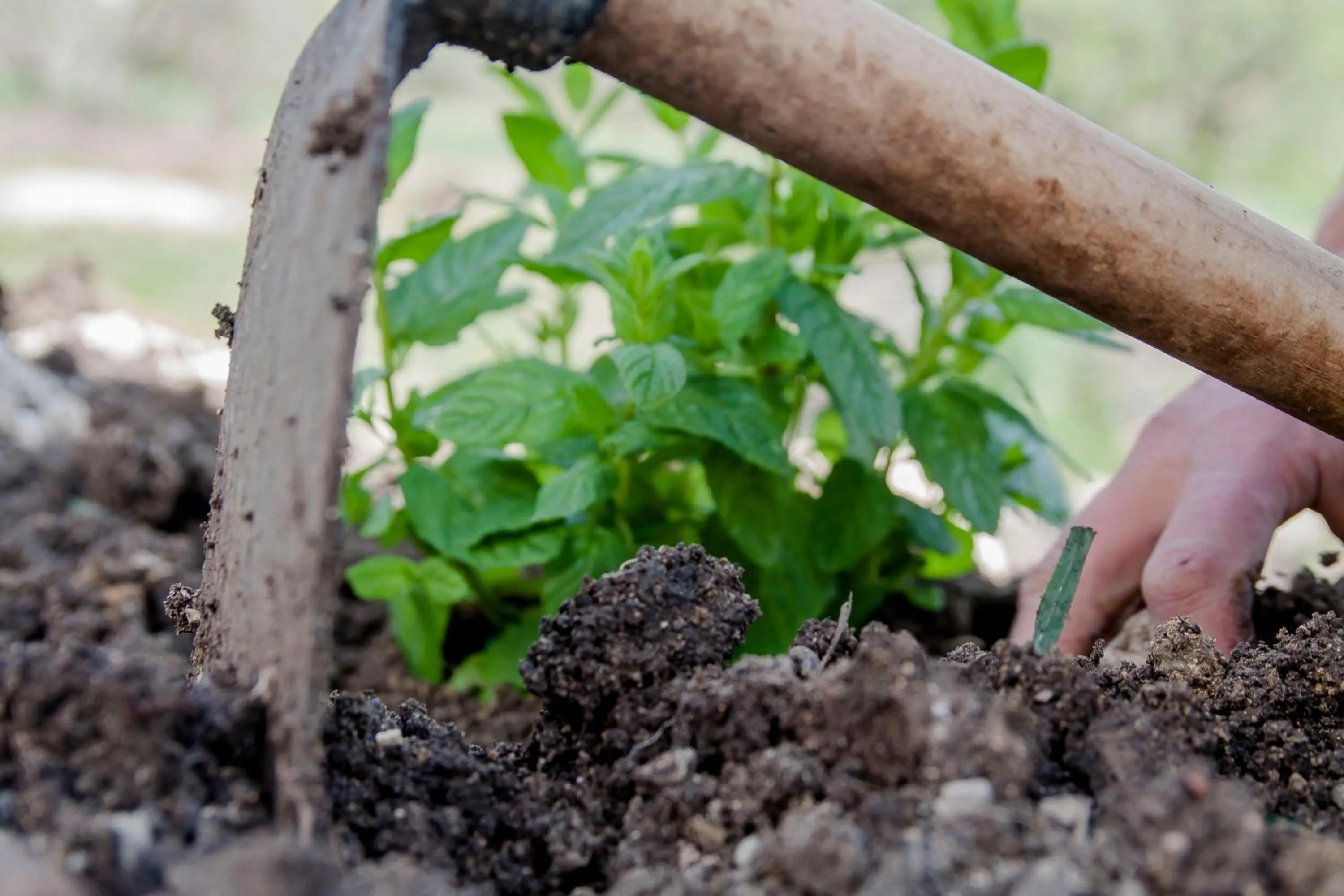 Activities in Resort Fontes Episcopi