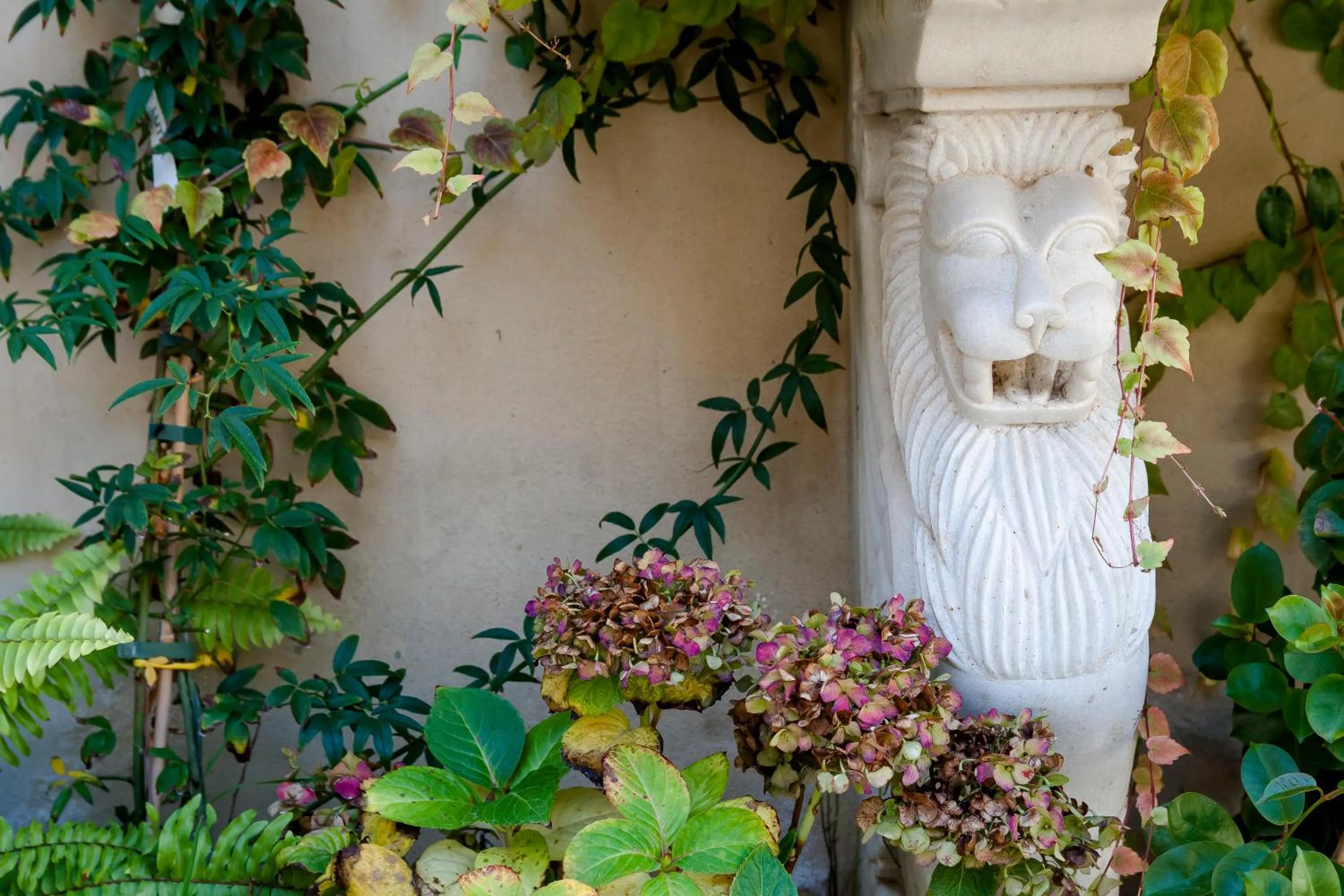 On site in Resort Fontes Episcopi