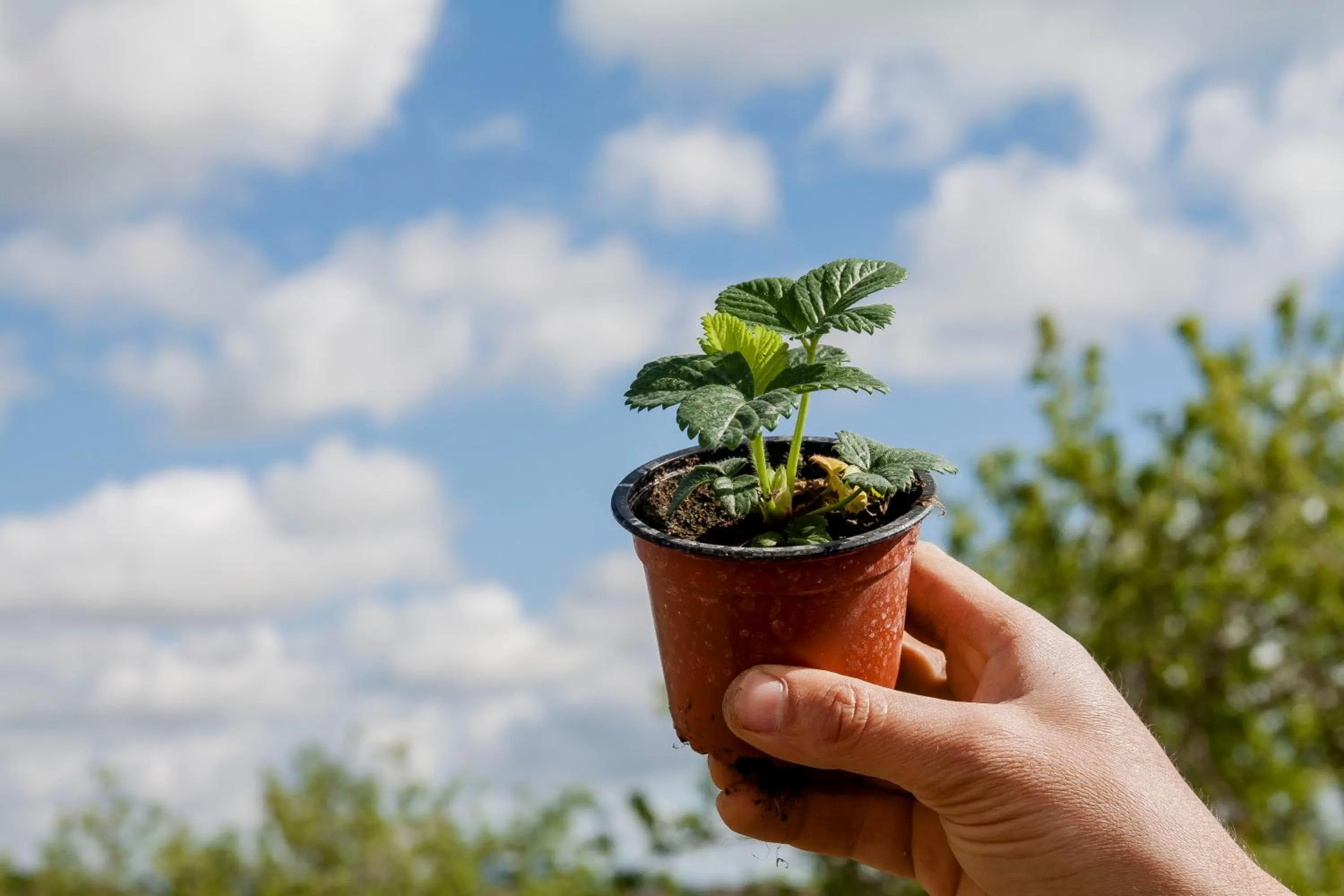 Activities in Resort Fontes Episcopi