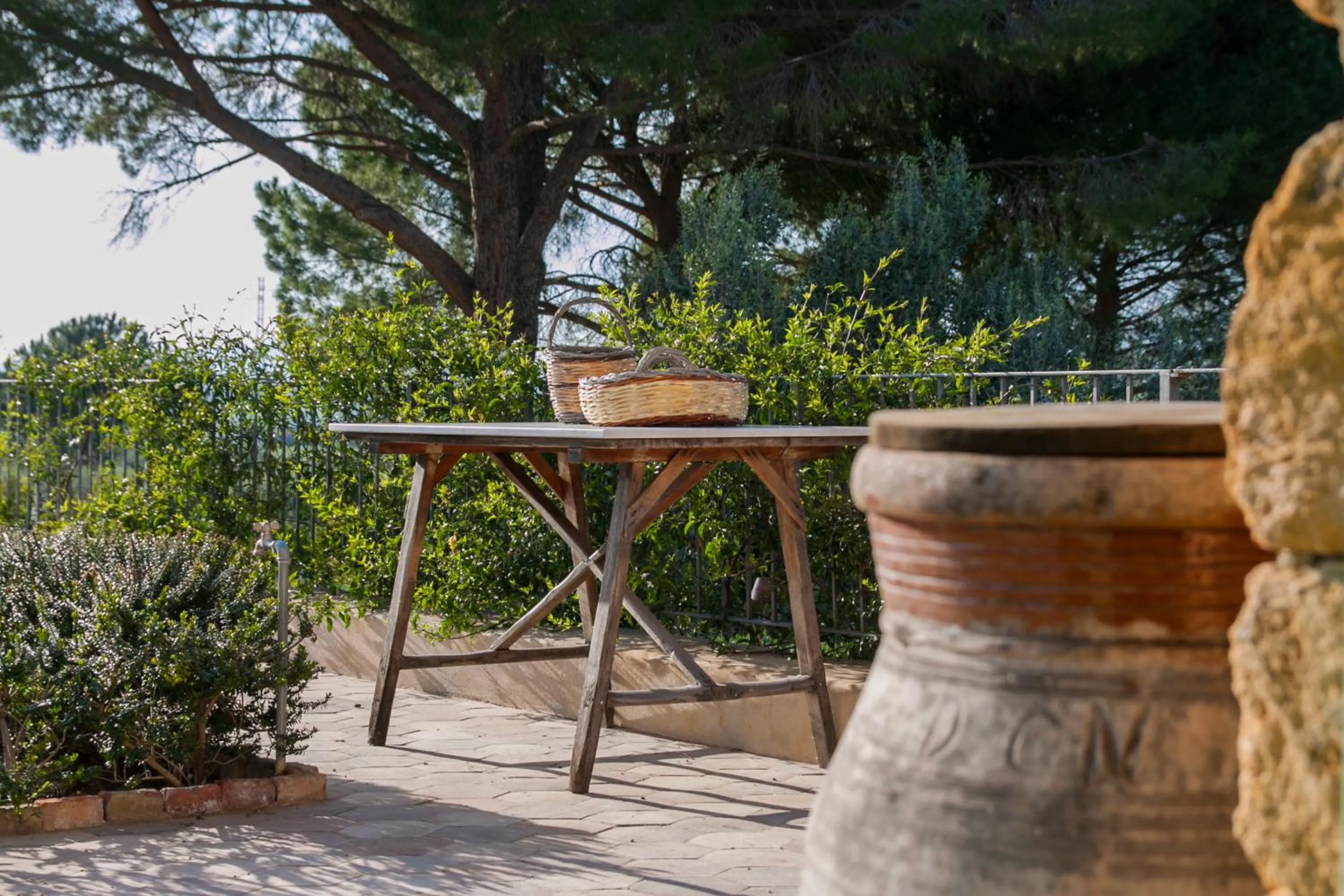 Garden in Resort Fontes Episcopi