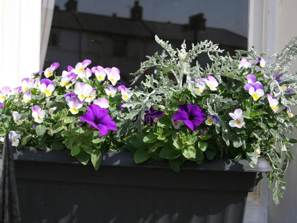 Other in Cromwell House