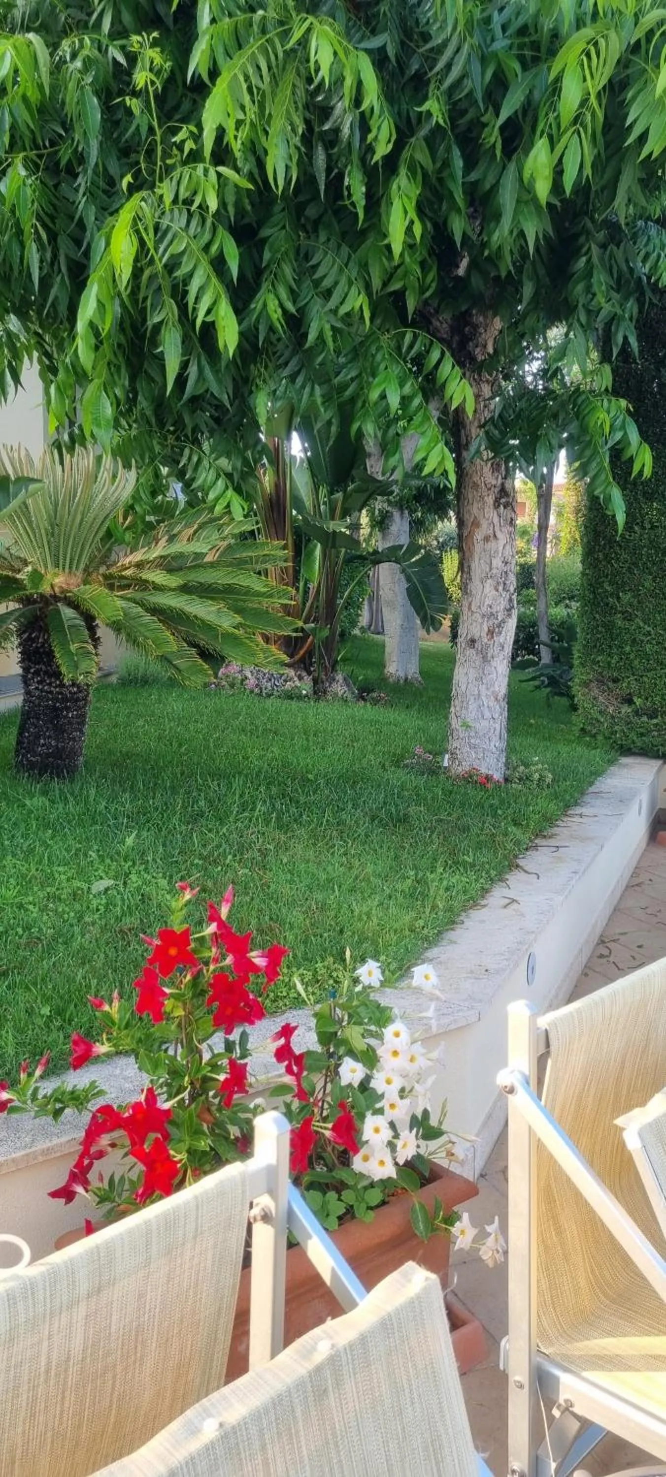 Garden in Villa Daphne