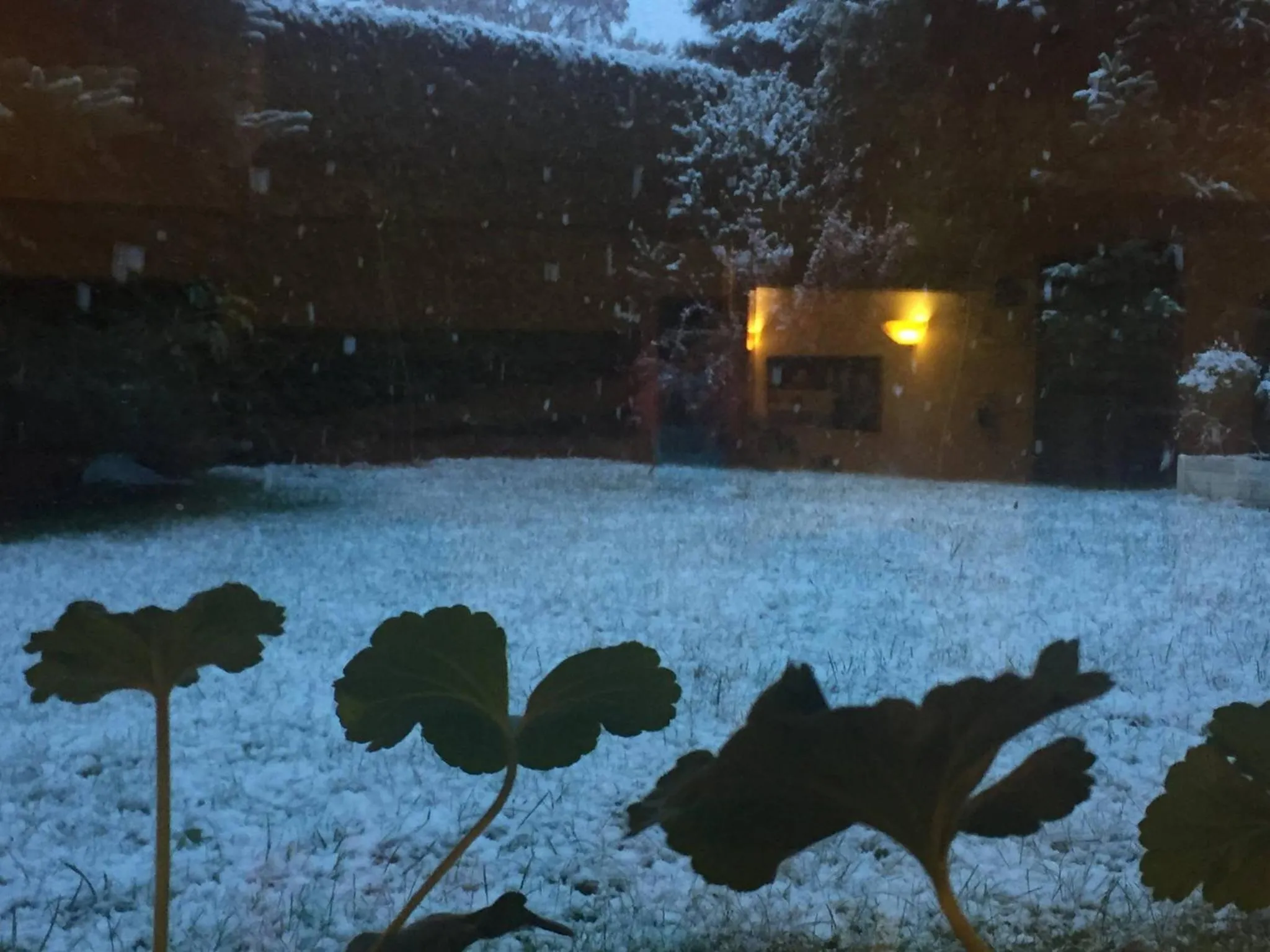 Natural landscape in Panorama BH