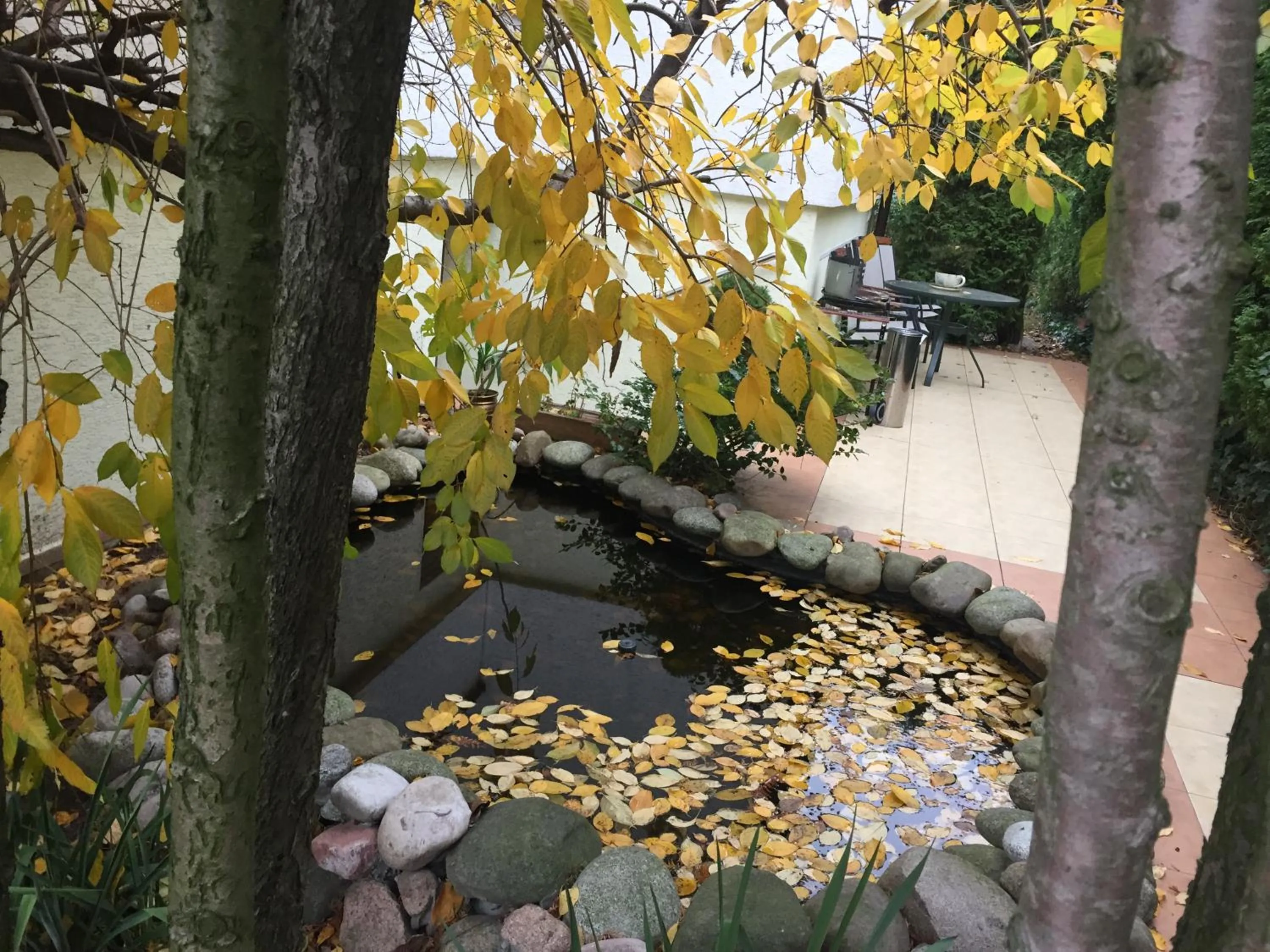 Balcony/Terrace in Panorama BH