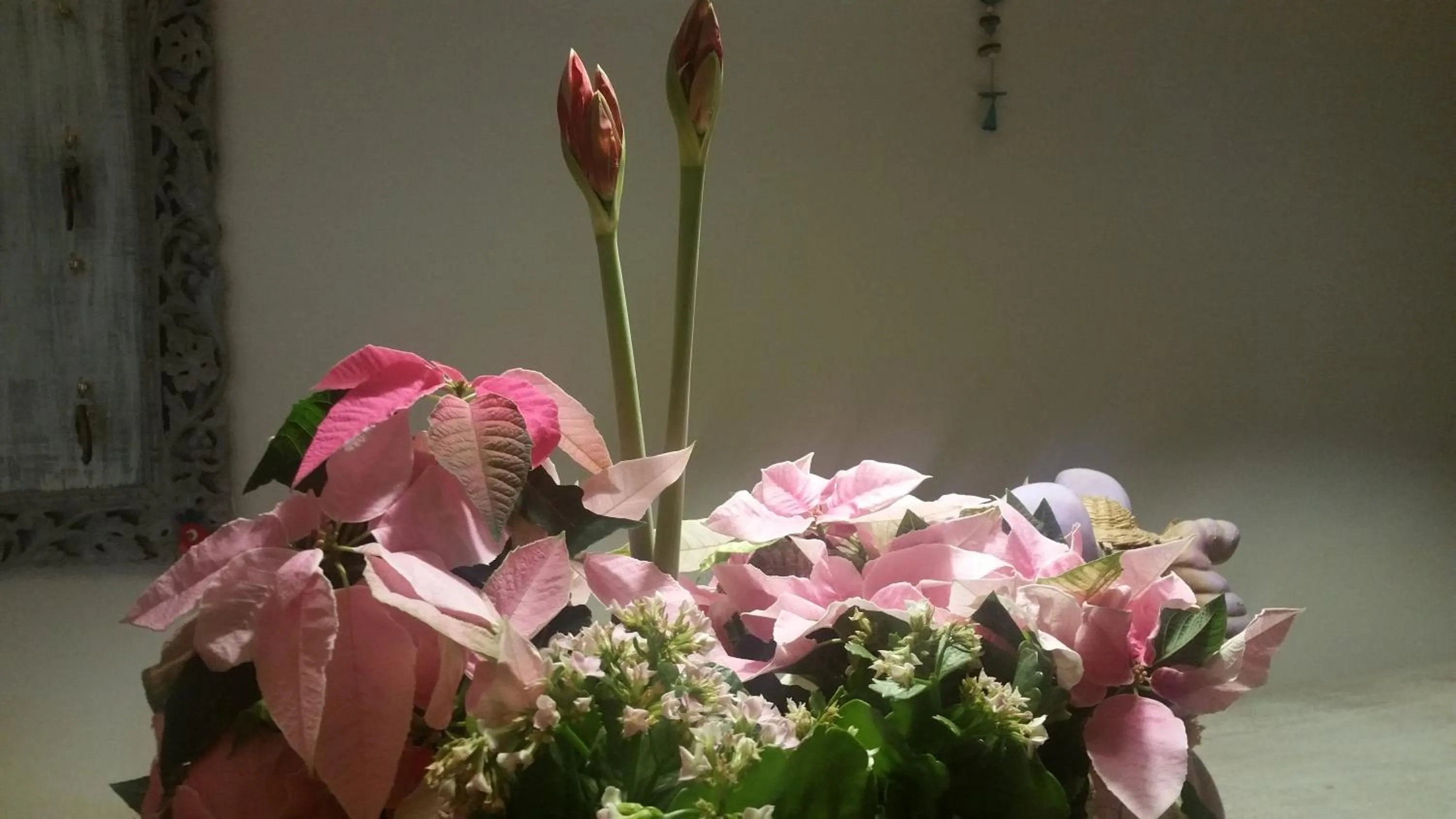 Decorative detail in Panorama BH