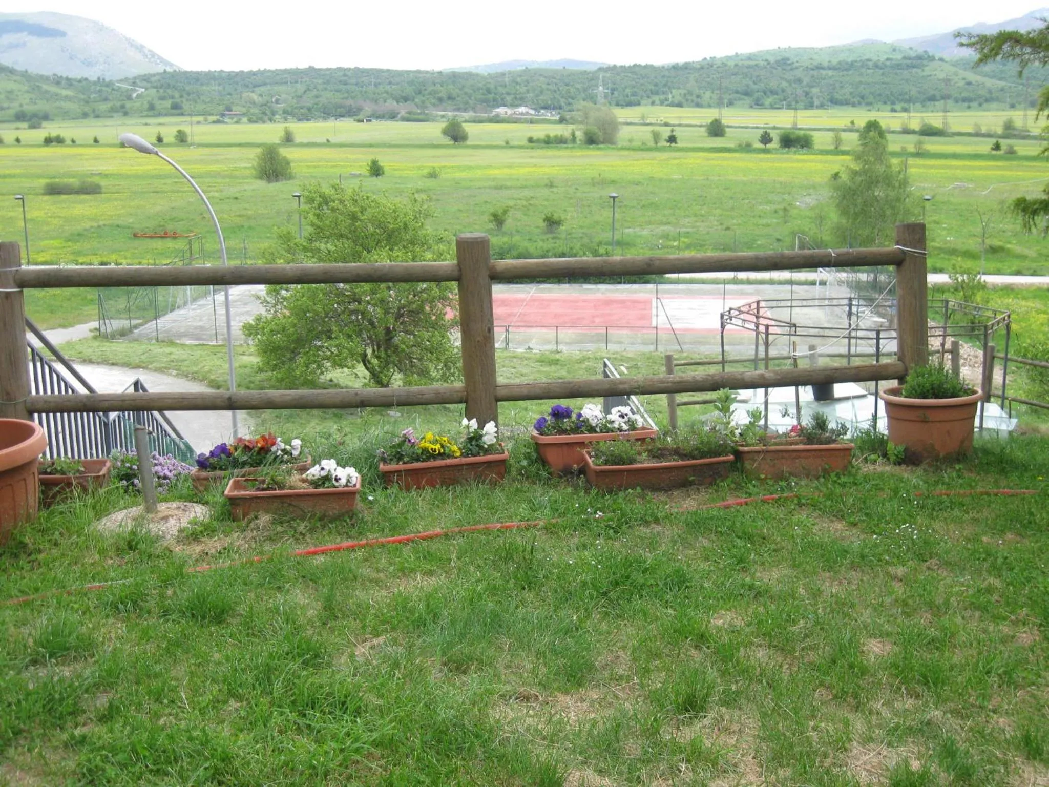 Garden view in Hotel Holidays