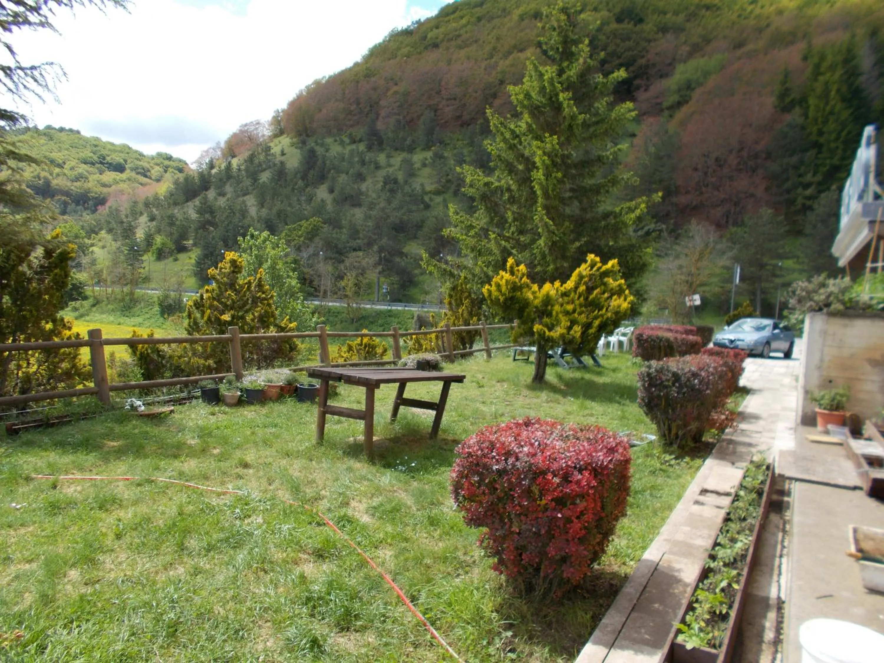 Garden view in Hotel Holidays