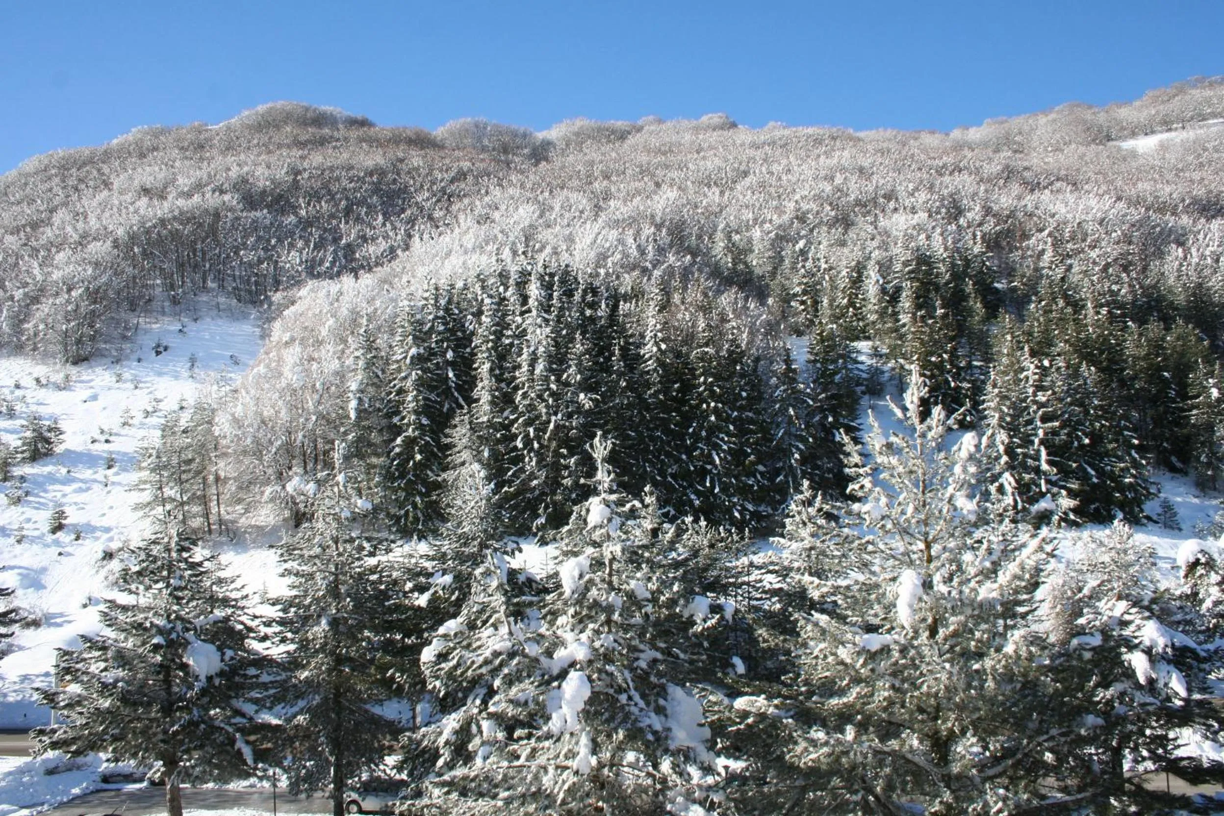 City view in Hotel Holidays