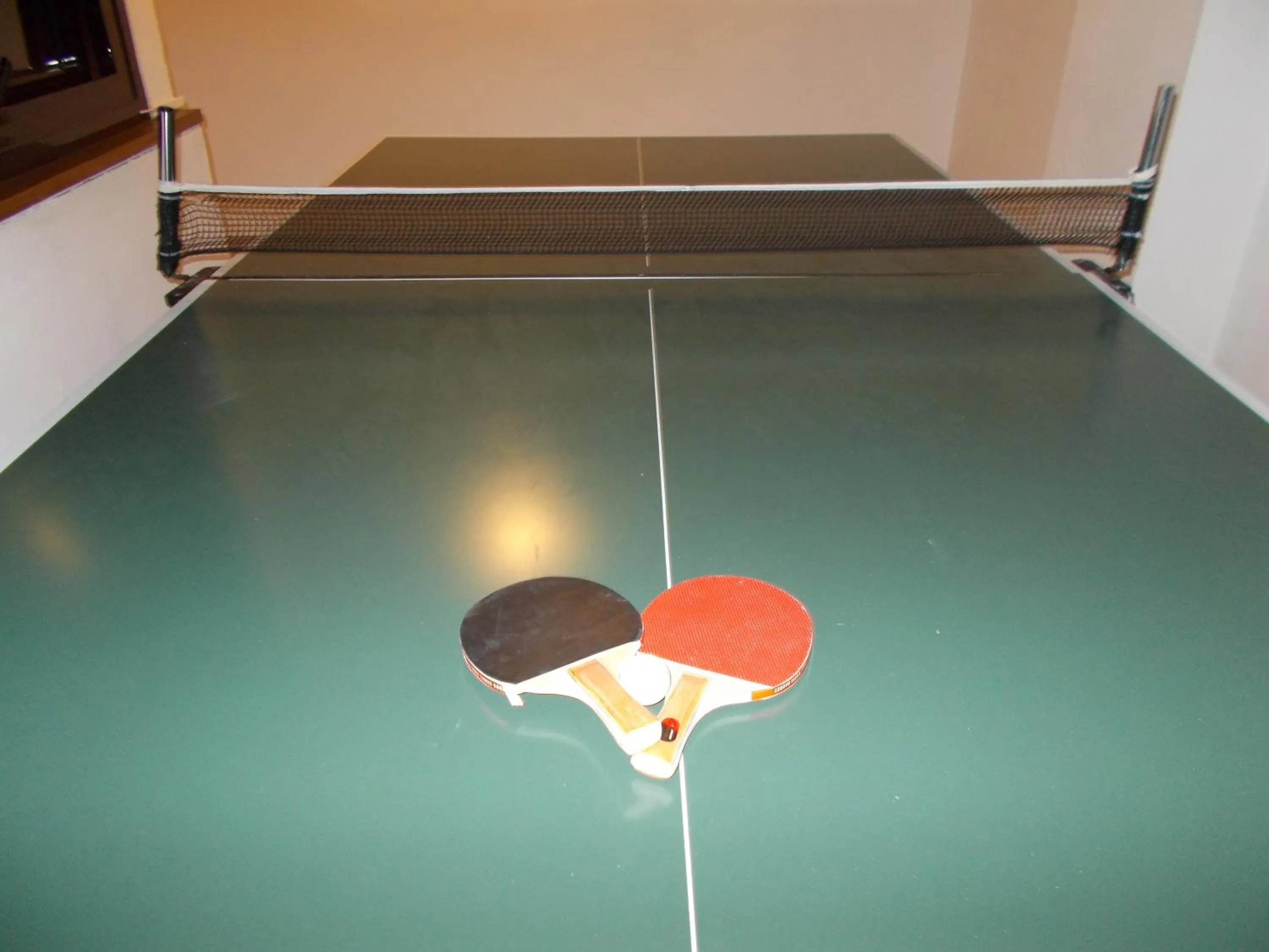 Table tennis in Hotel Holidays