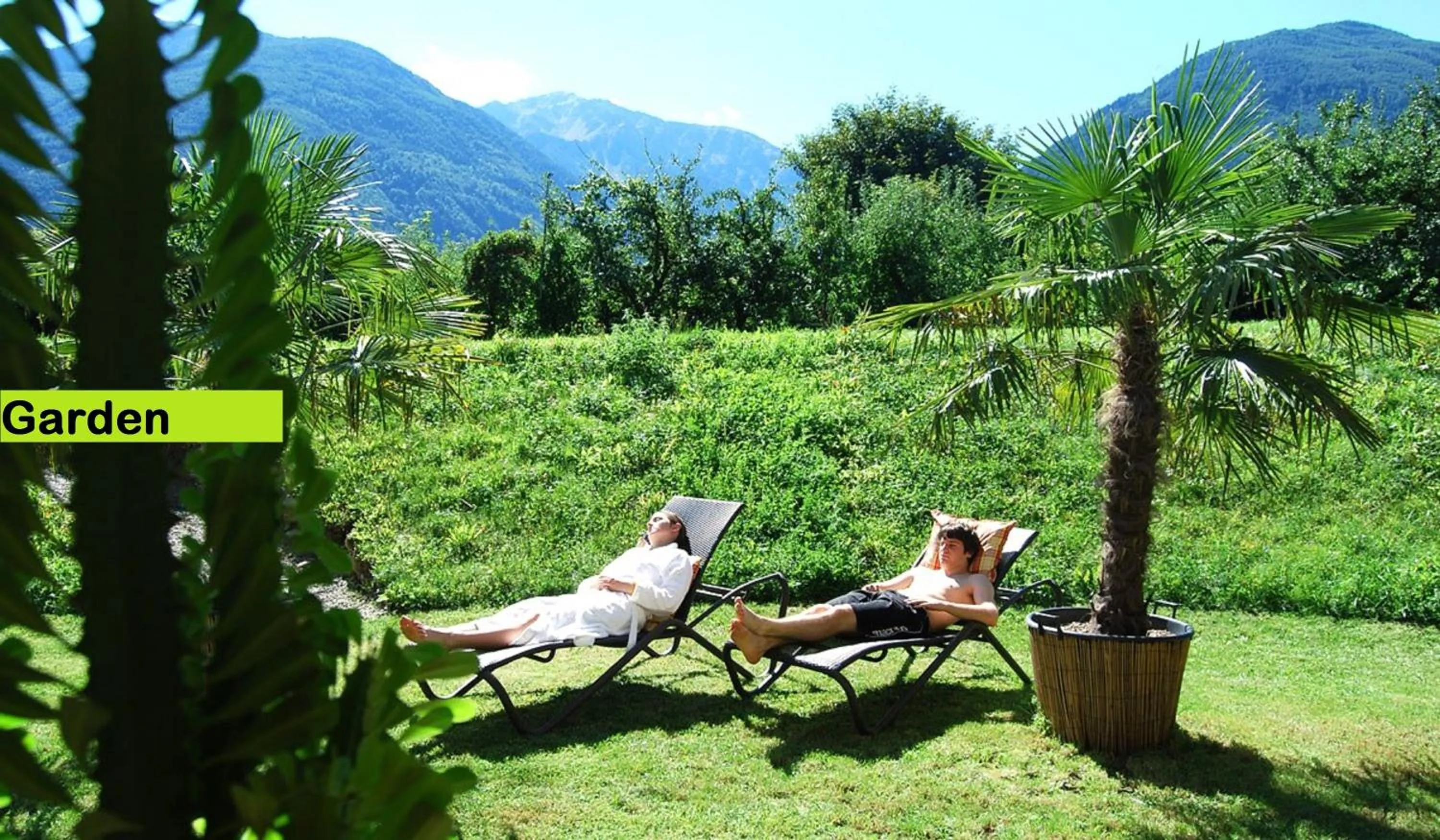 Garden in Hotel Bamboo