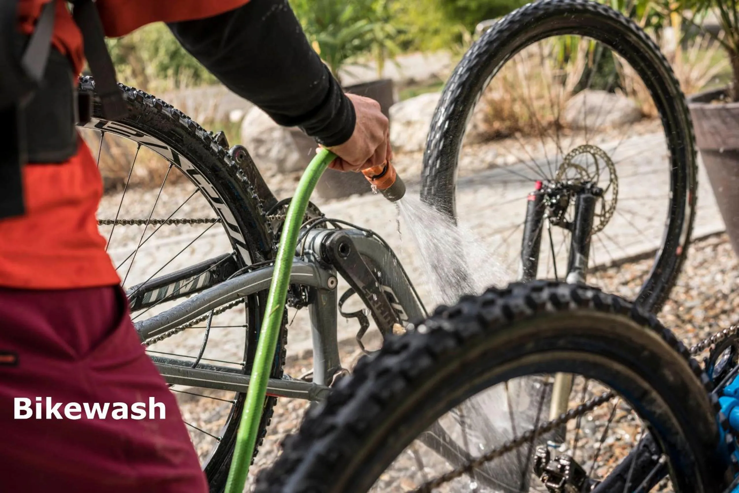 Garden in Hotel Bamboo