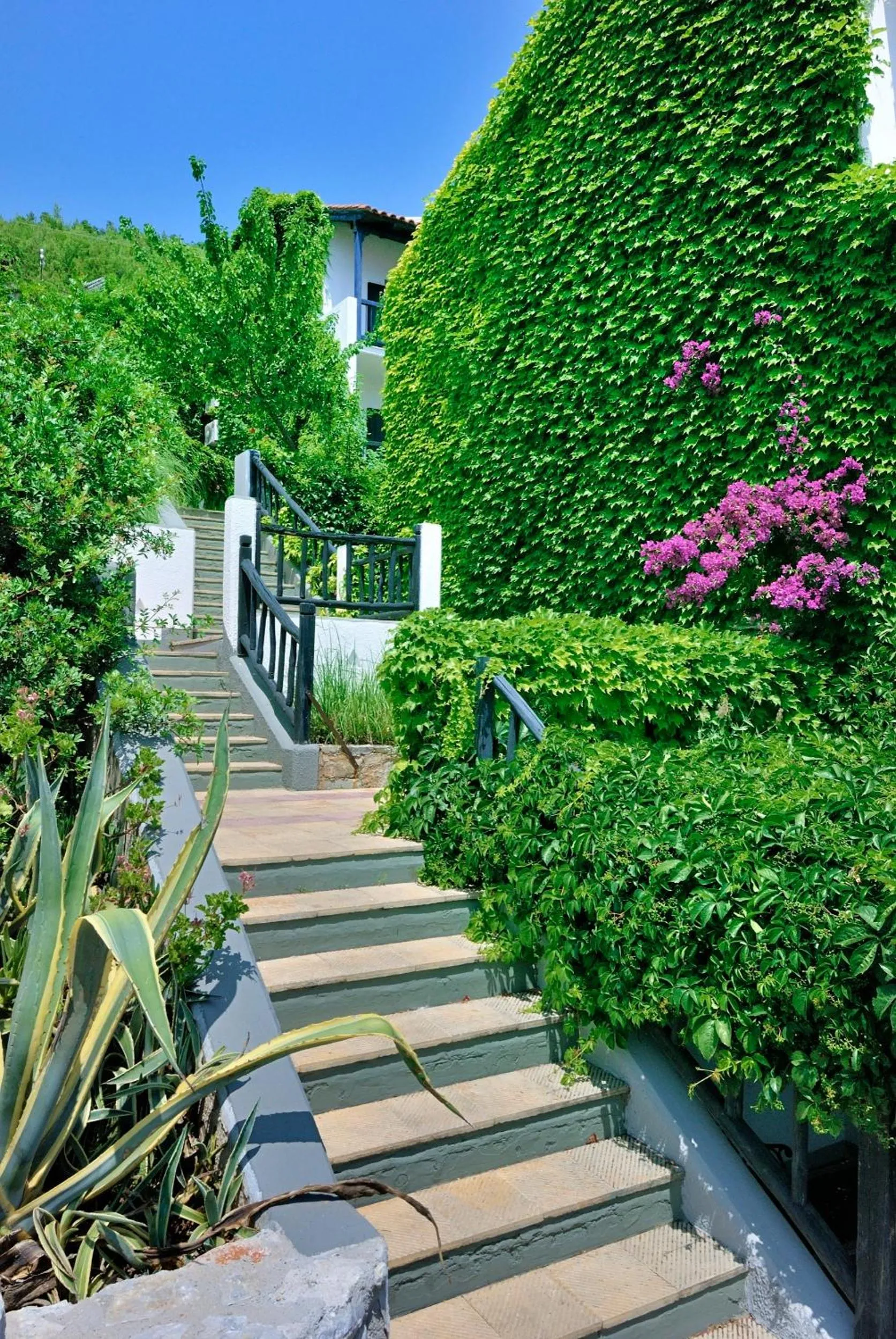 Garden in Adrina Beach Hotel