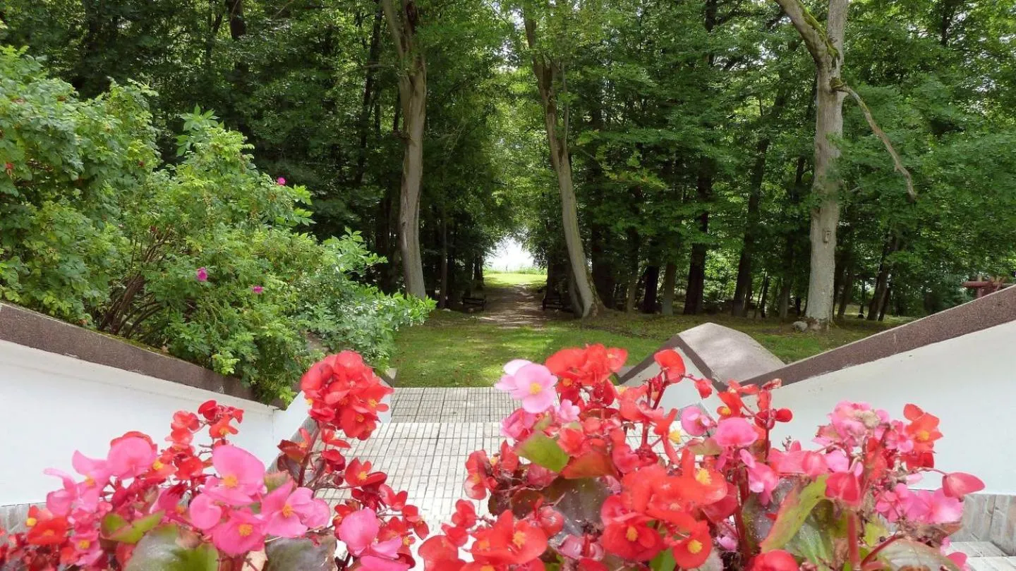 Patio in Dwór nad jeziorem w Bieniaszach
