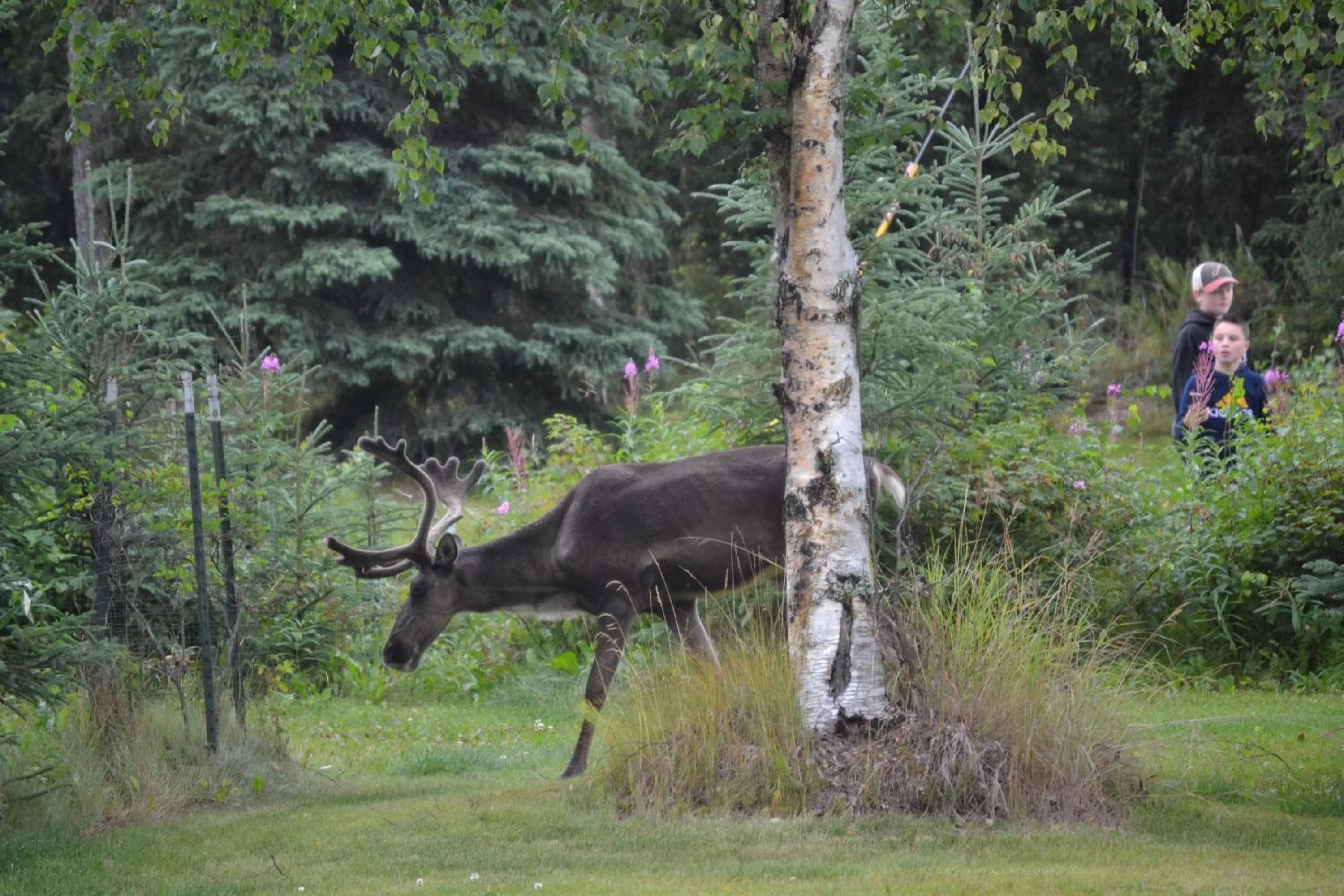 Summer in All Seasons B&B