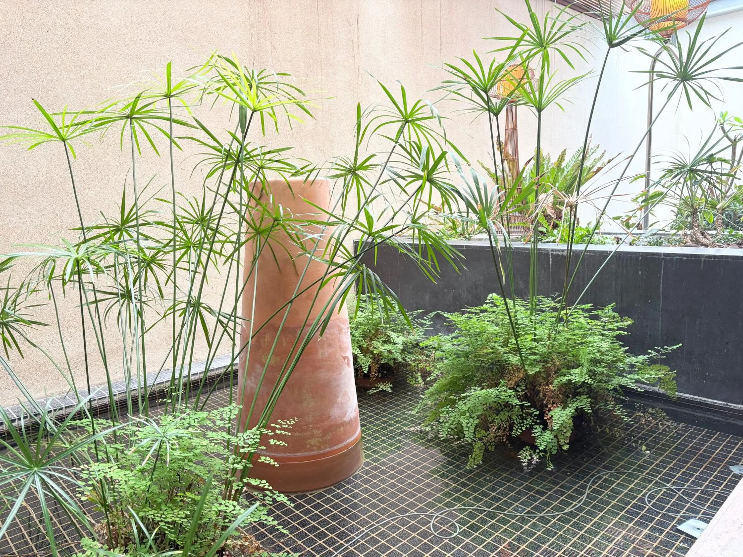 Garden view in Xiadu Motel