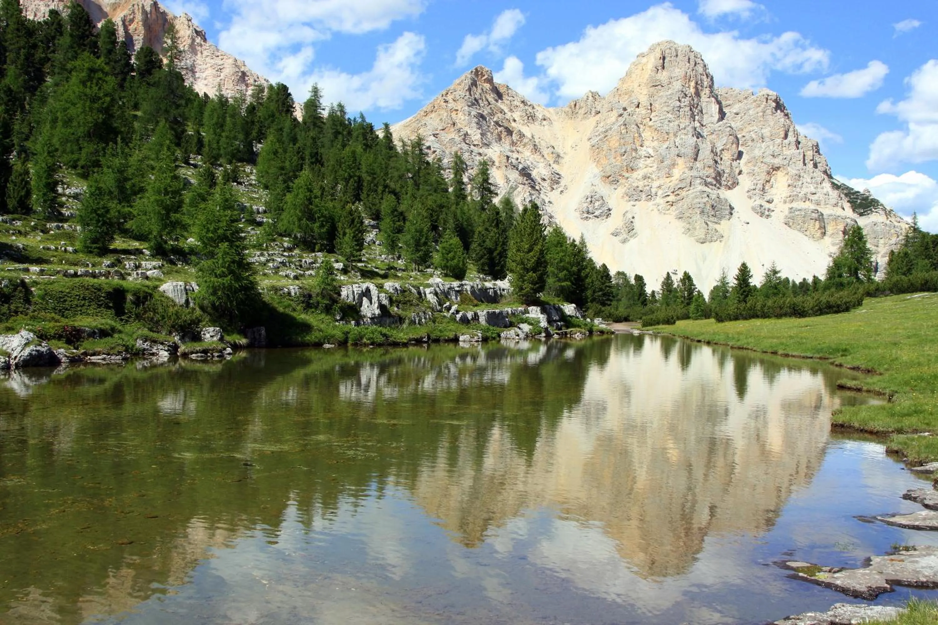 Area and facilities in Hotel Mirabel