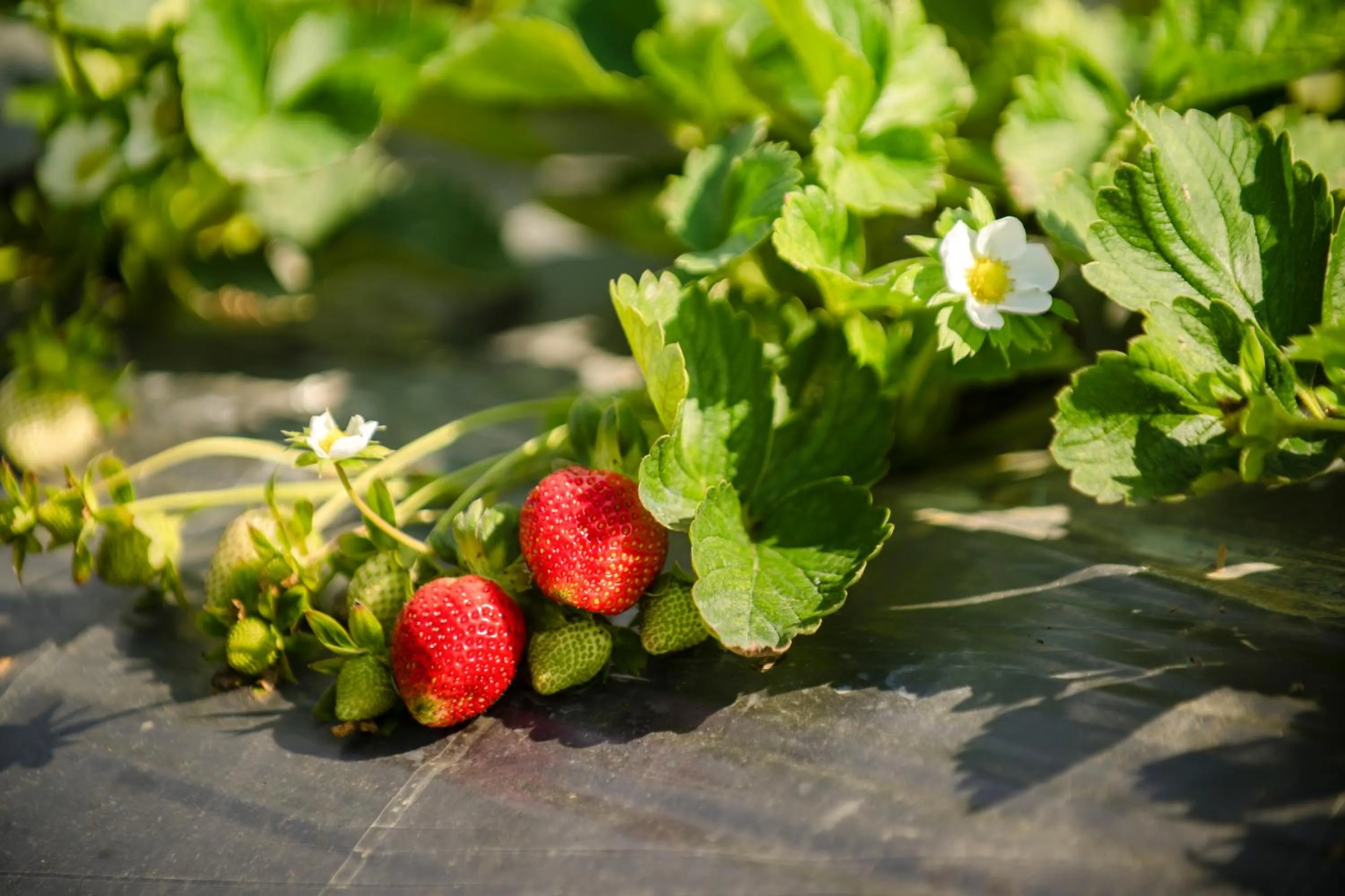 Natural landscape in Quan Ming B&B