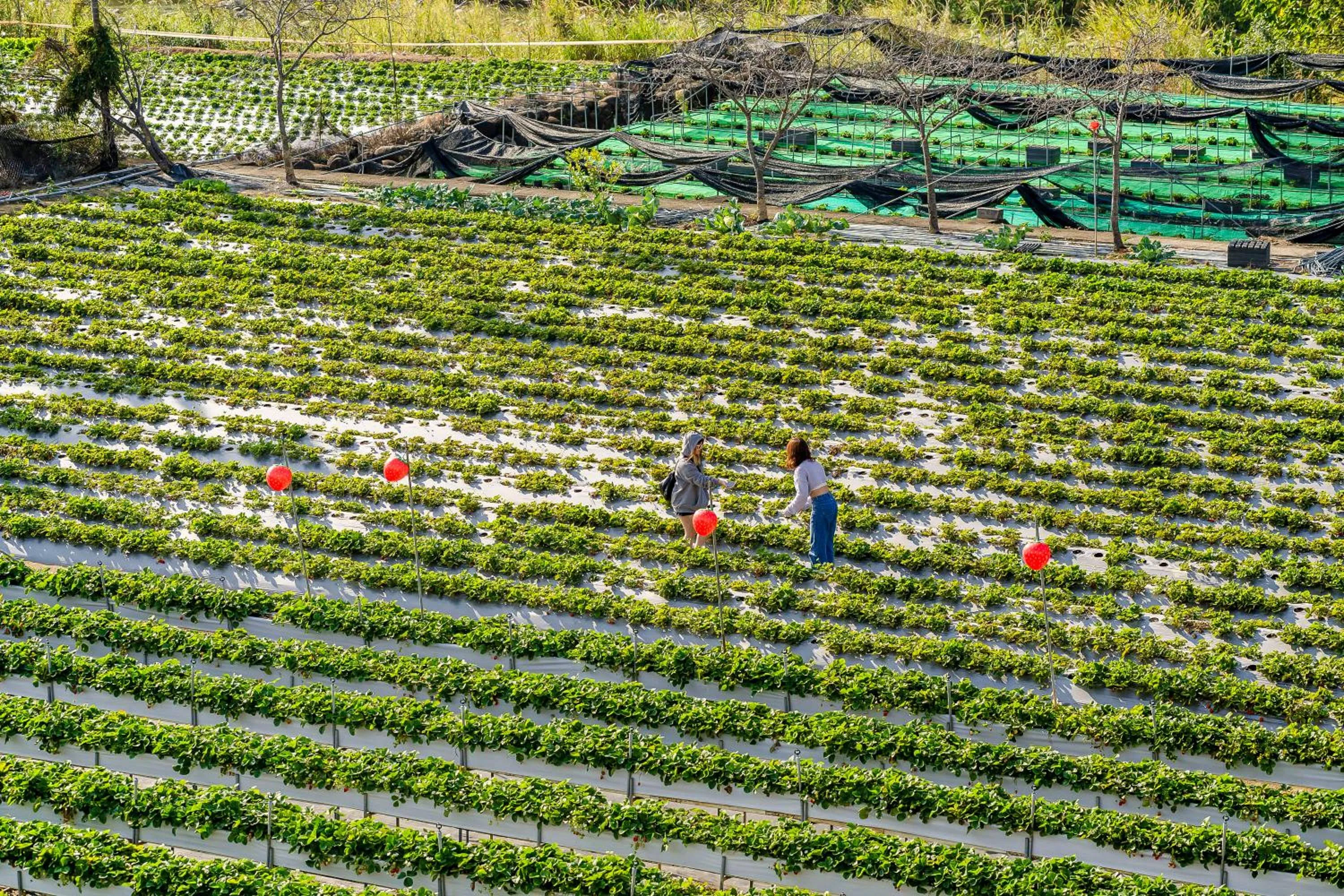 Natural landscape in Quan Ming B&B