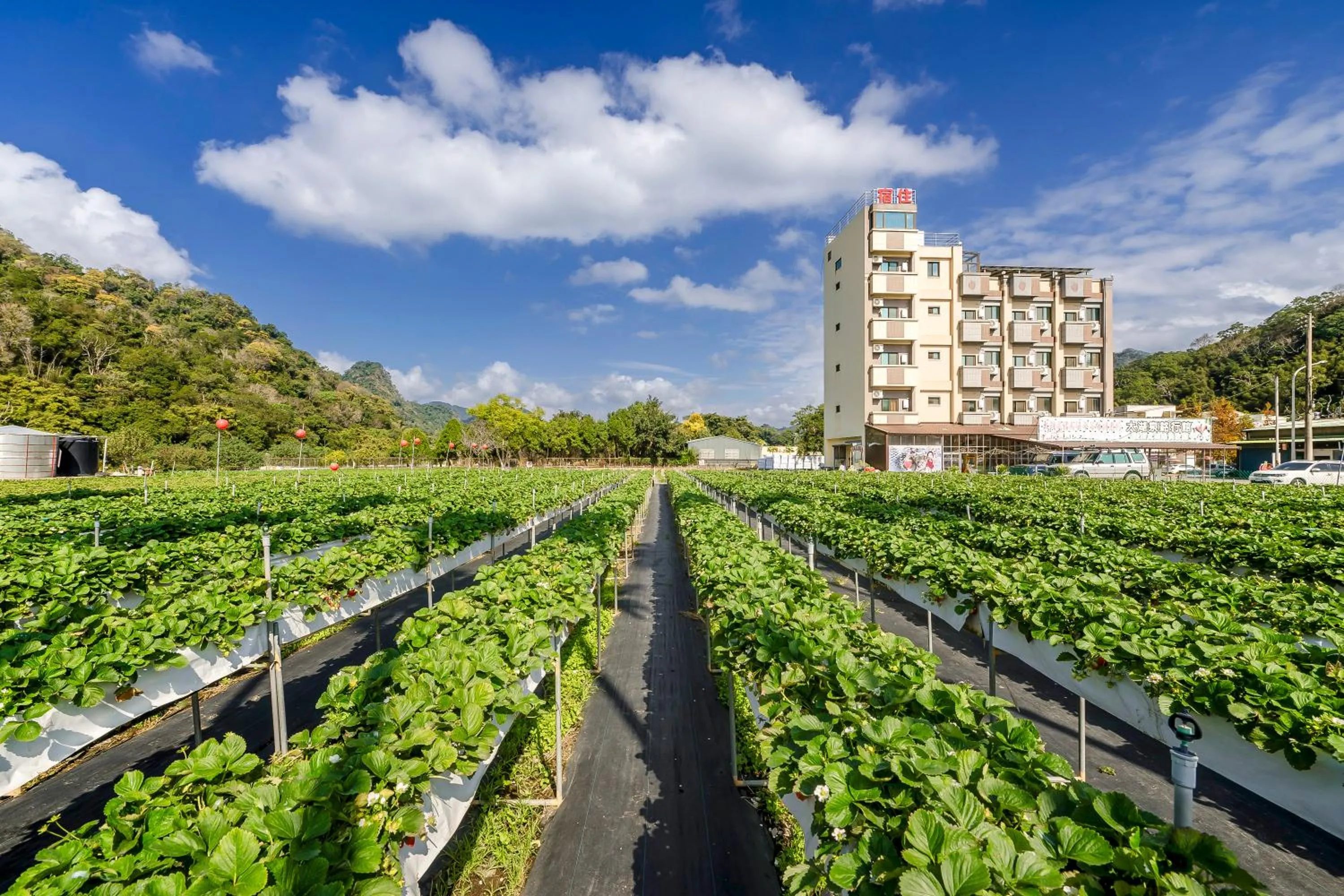Natural landscape in Quan Ming B&B