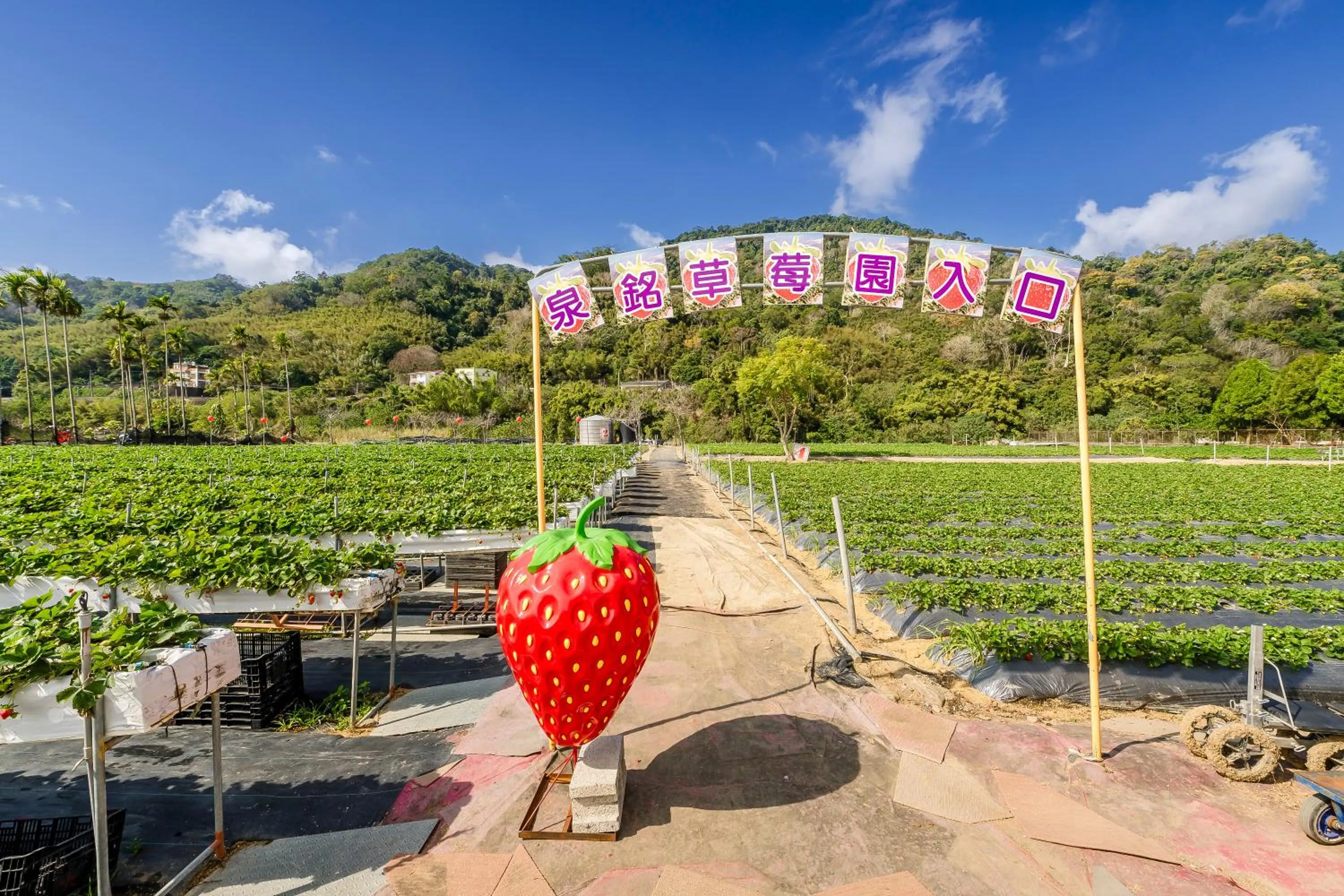 Natural landscape in Quan Ming B&B