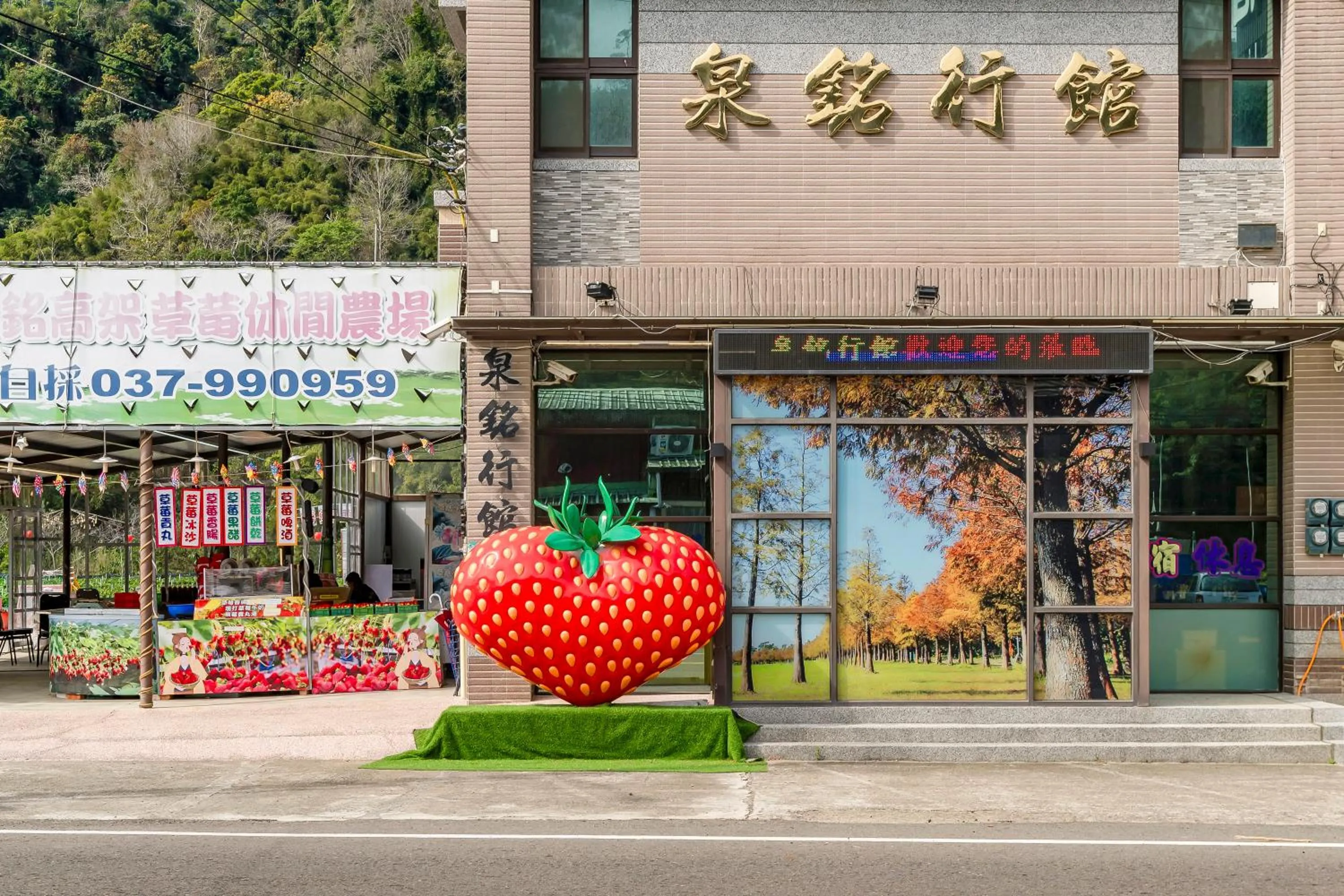 Property building in Quan Ming B&B