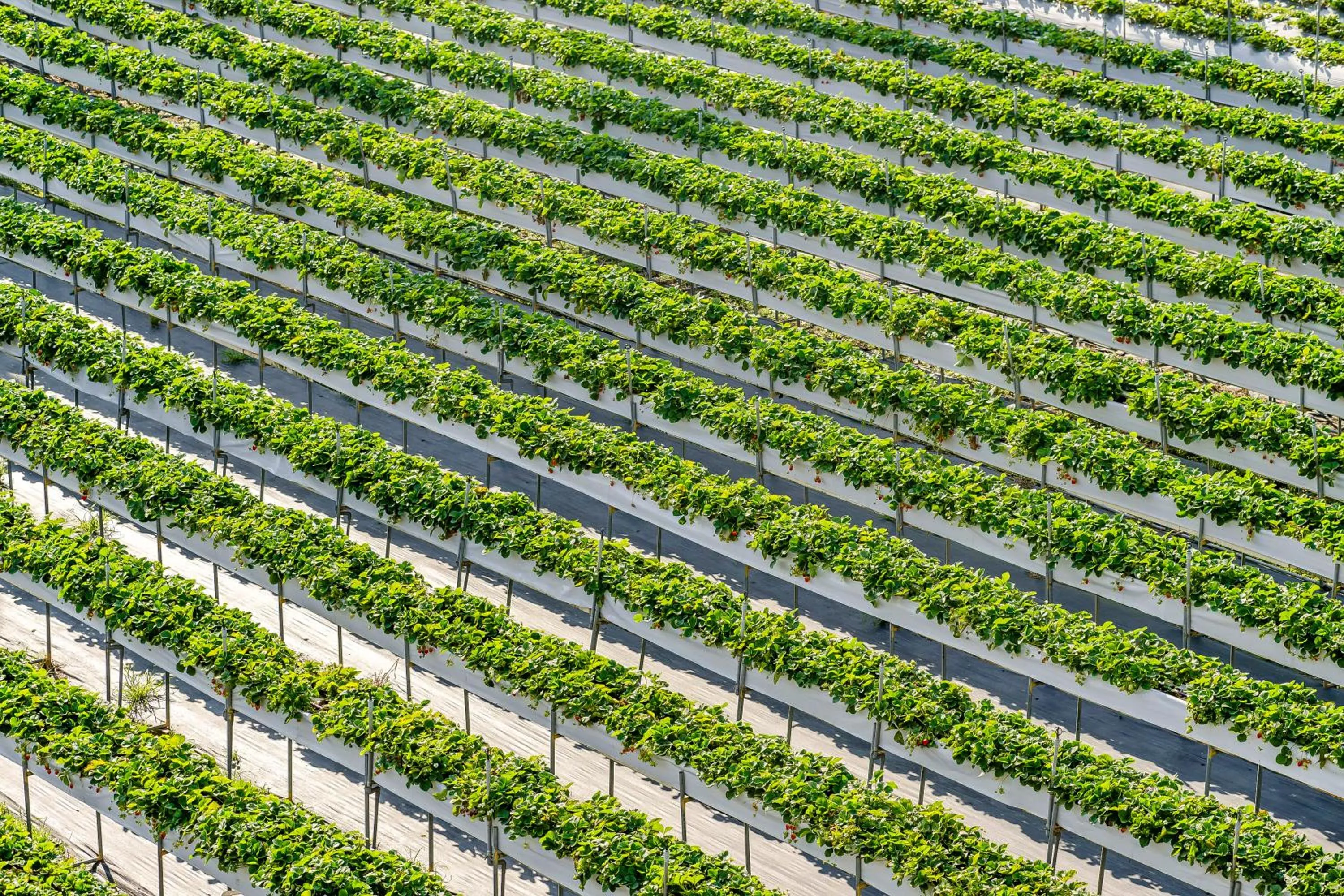 Natural landscape in Quan Ming B&B