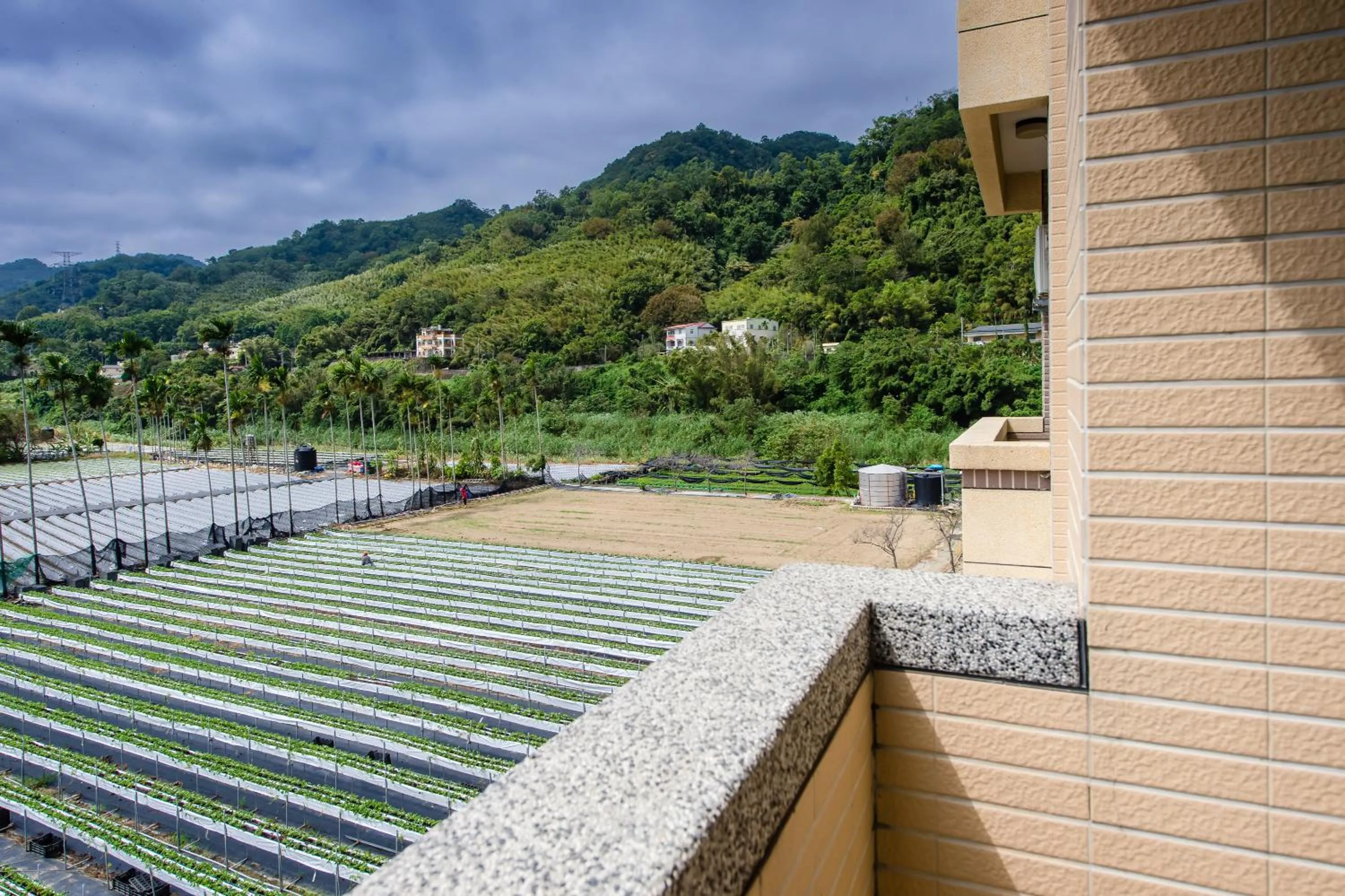 View (from property/room) in Quan Ming B&B