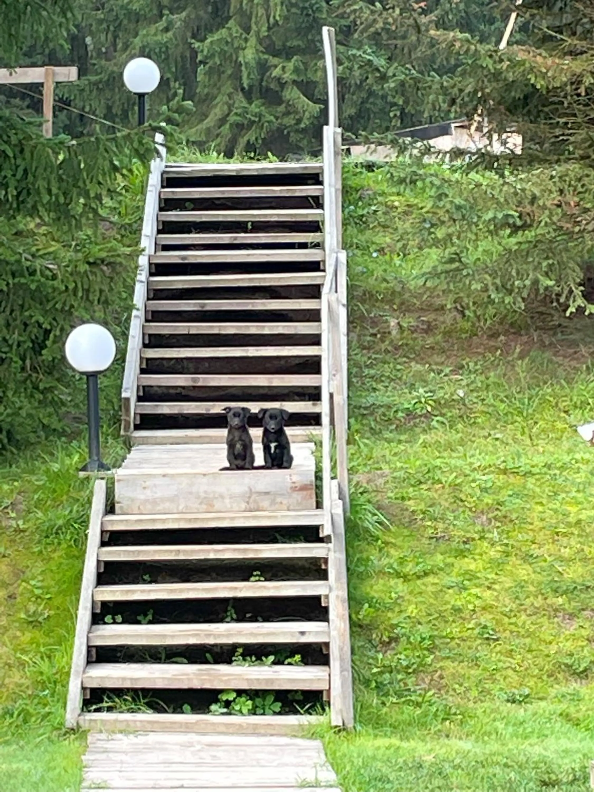 Area and facilities in Pensiunea Banffy