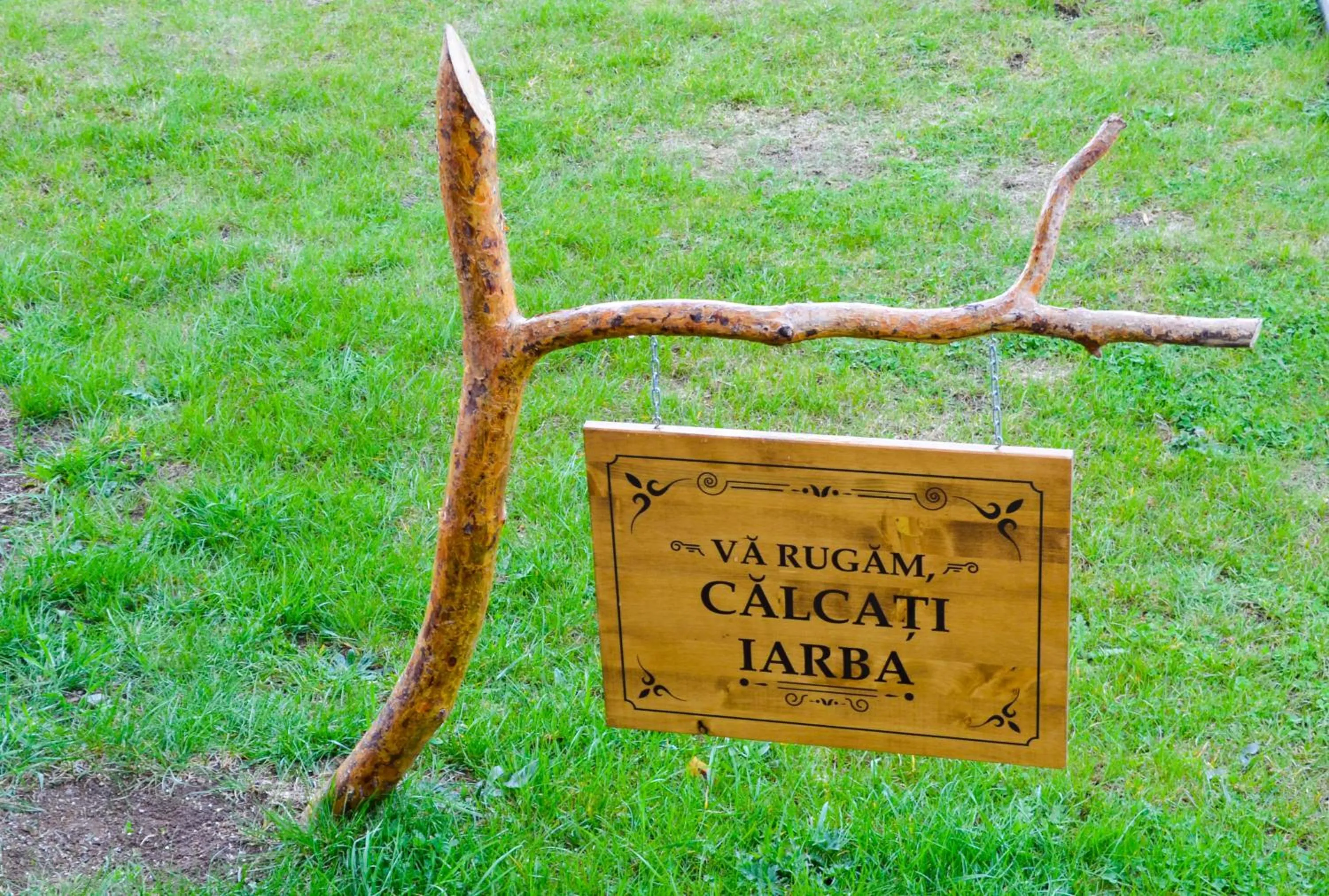 Decorative detail in Pensiunea Banffy