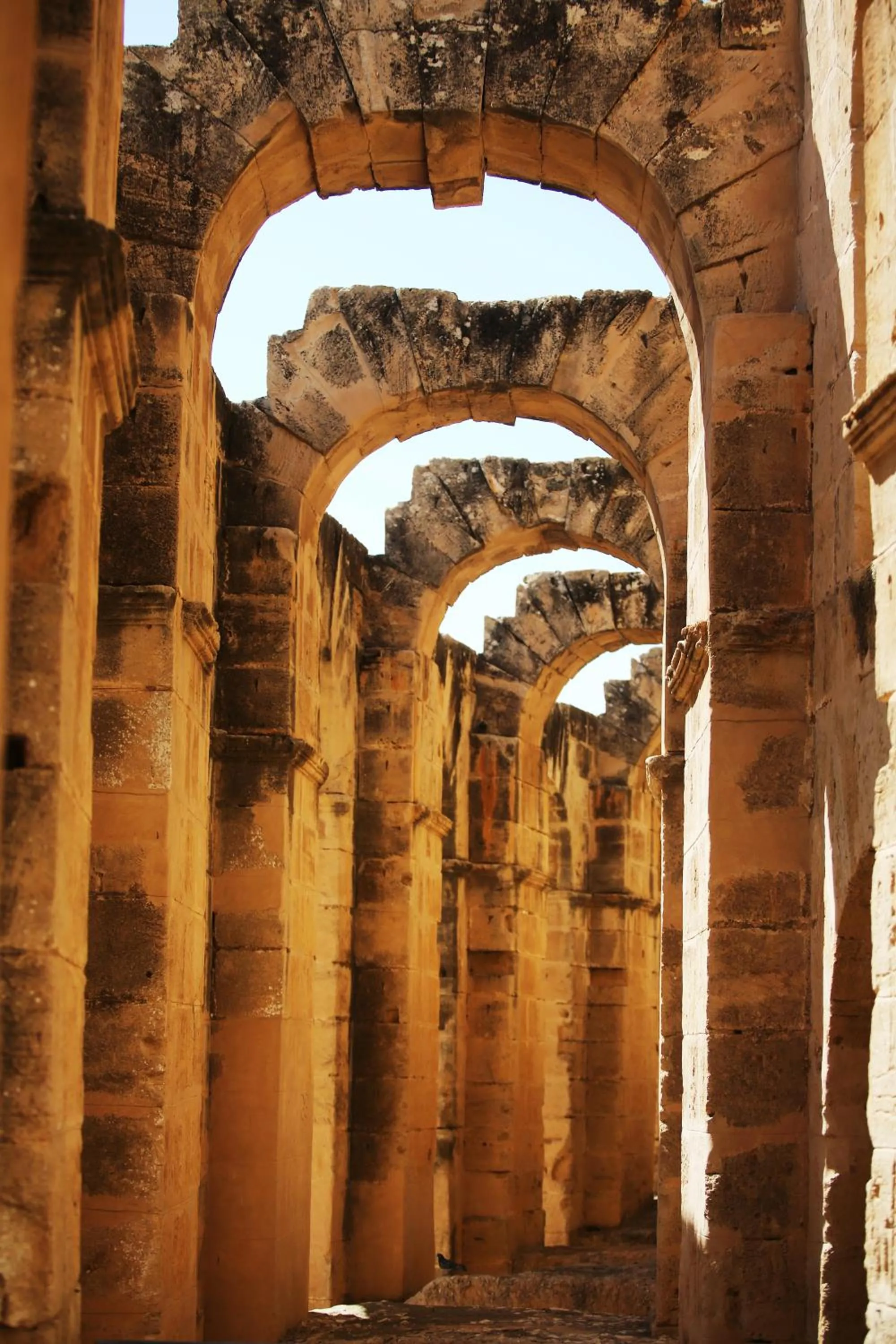 Nearby landmark in Hotel Julius