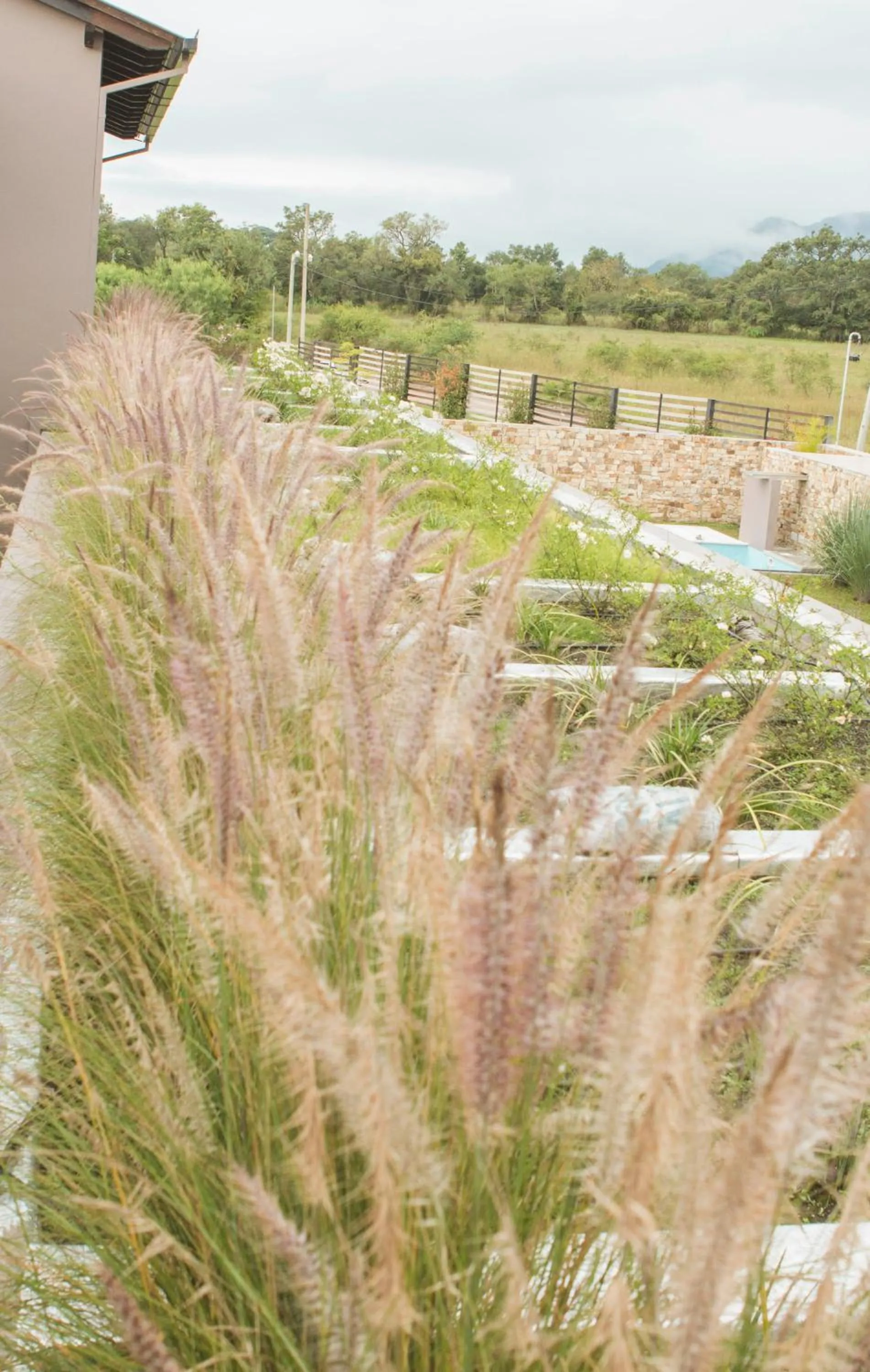 Garden in Amalinas Hotel