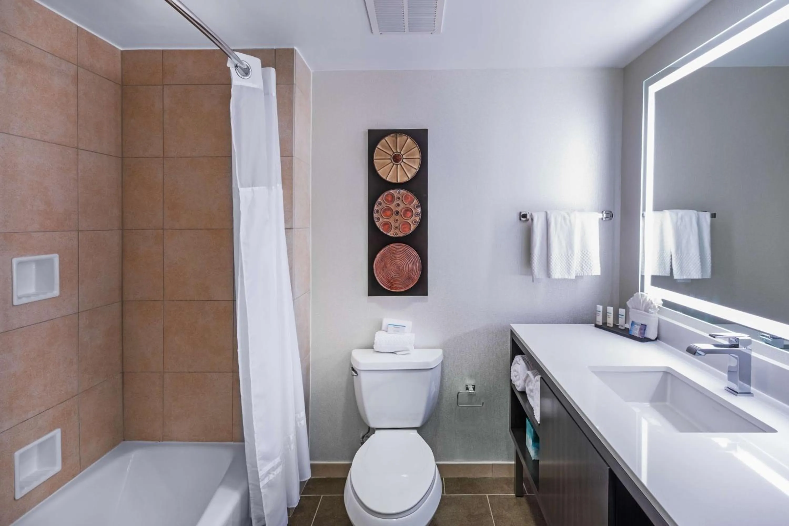 Bathroom in Embassy Suites by Hilton Houston-Energy Corridor