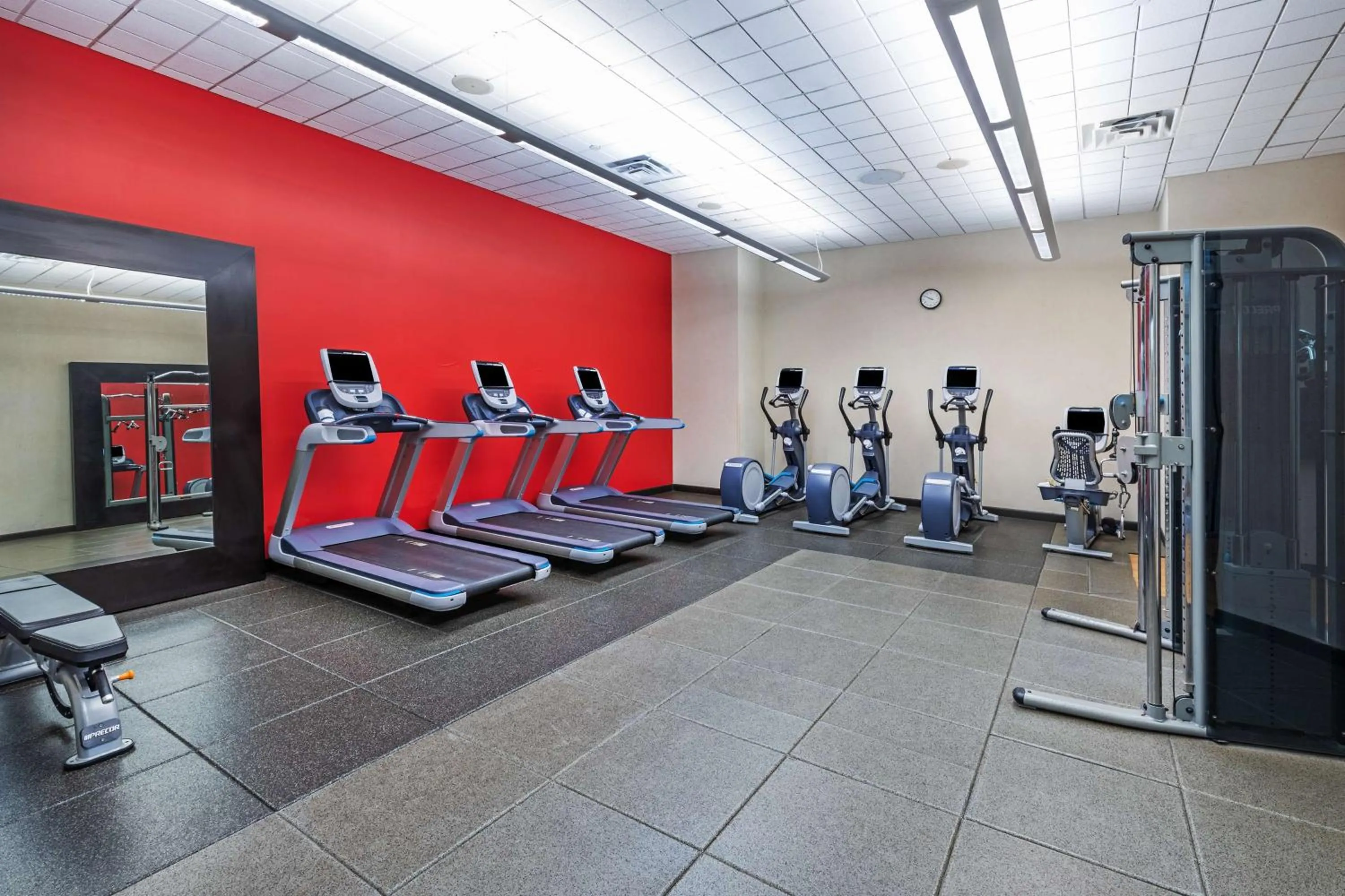 Fitness centre/facilities in Embassy Suites by Hilton Houston-Energy Corridor