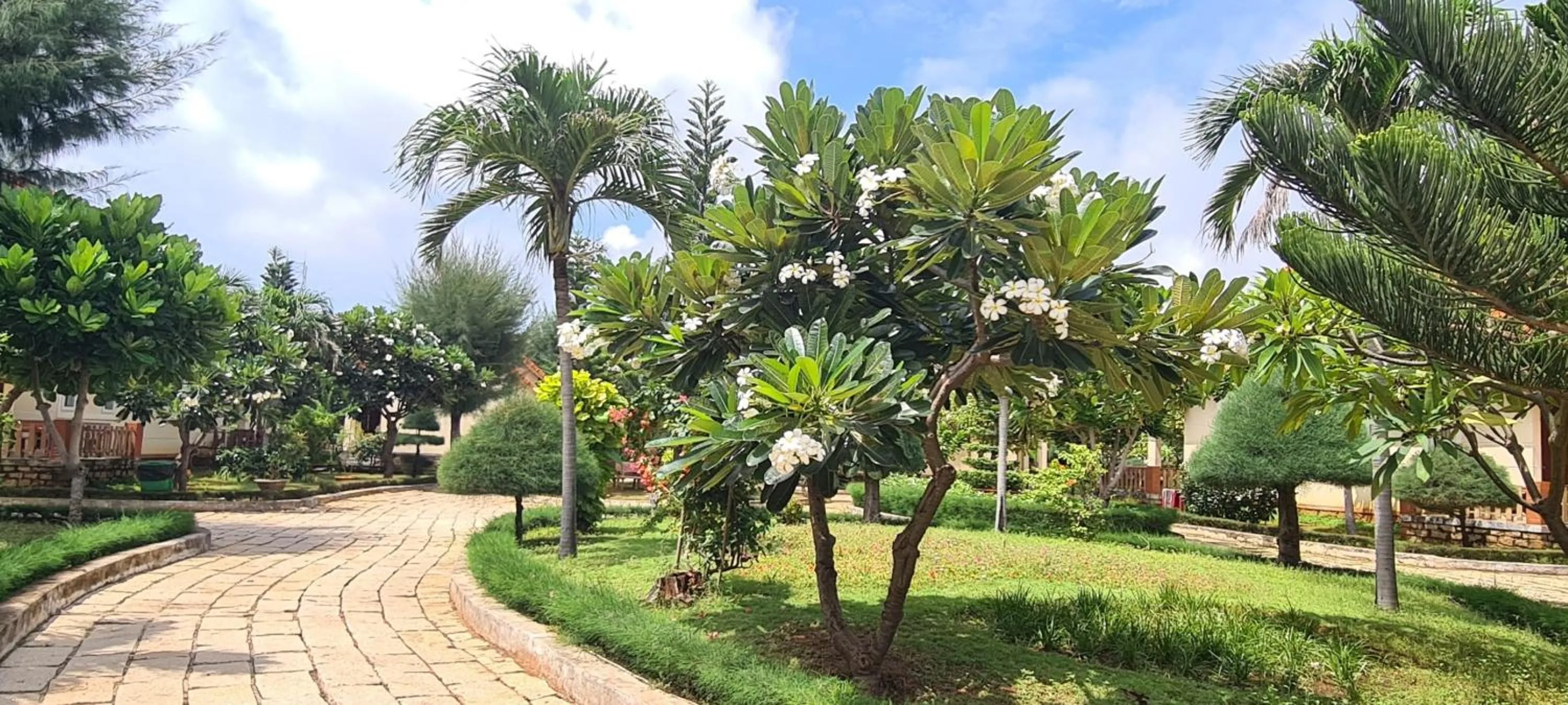 Garden in Hai Duong Intourco Resort, Vung Tau