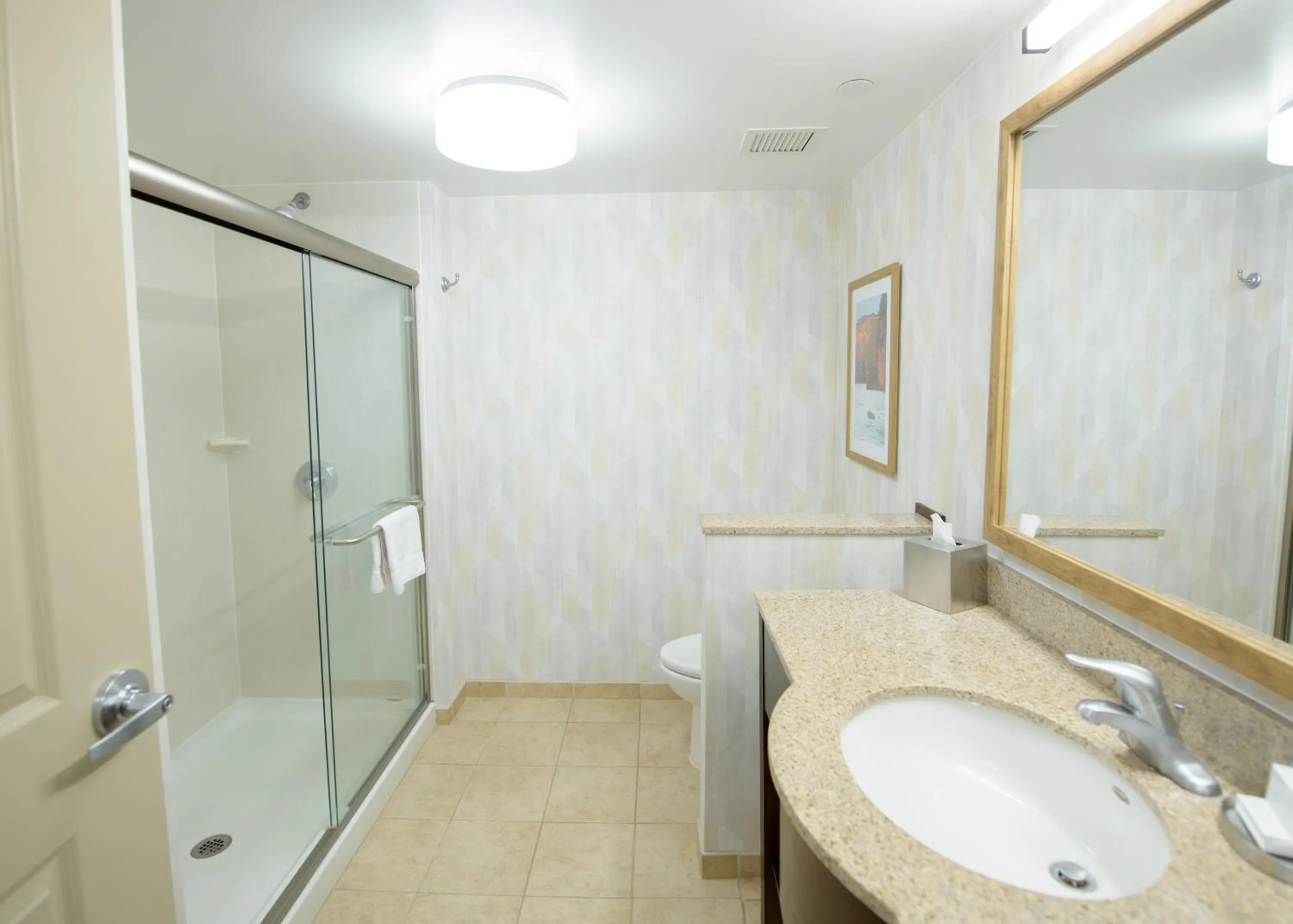 Shower in Hampton Inn Presque Isle