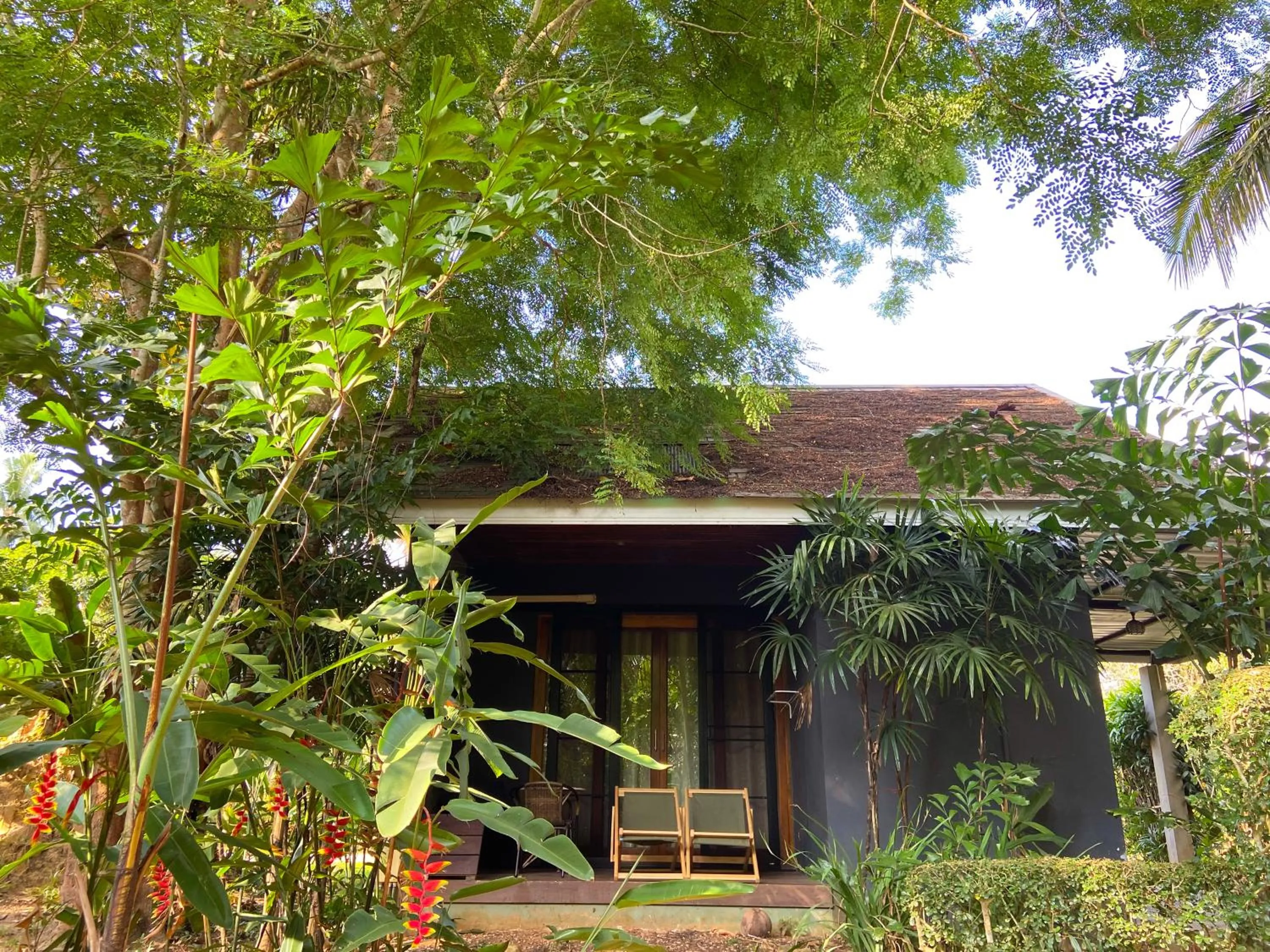 Property building in Villa Varich