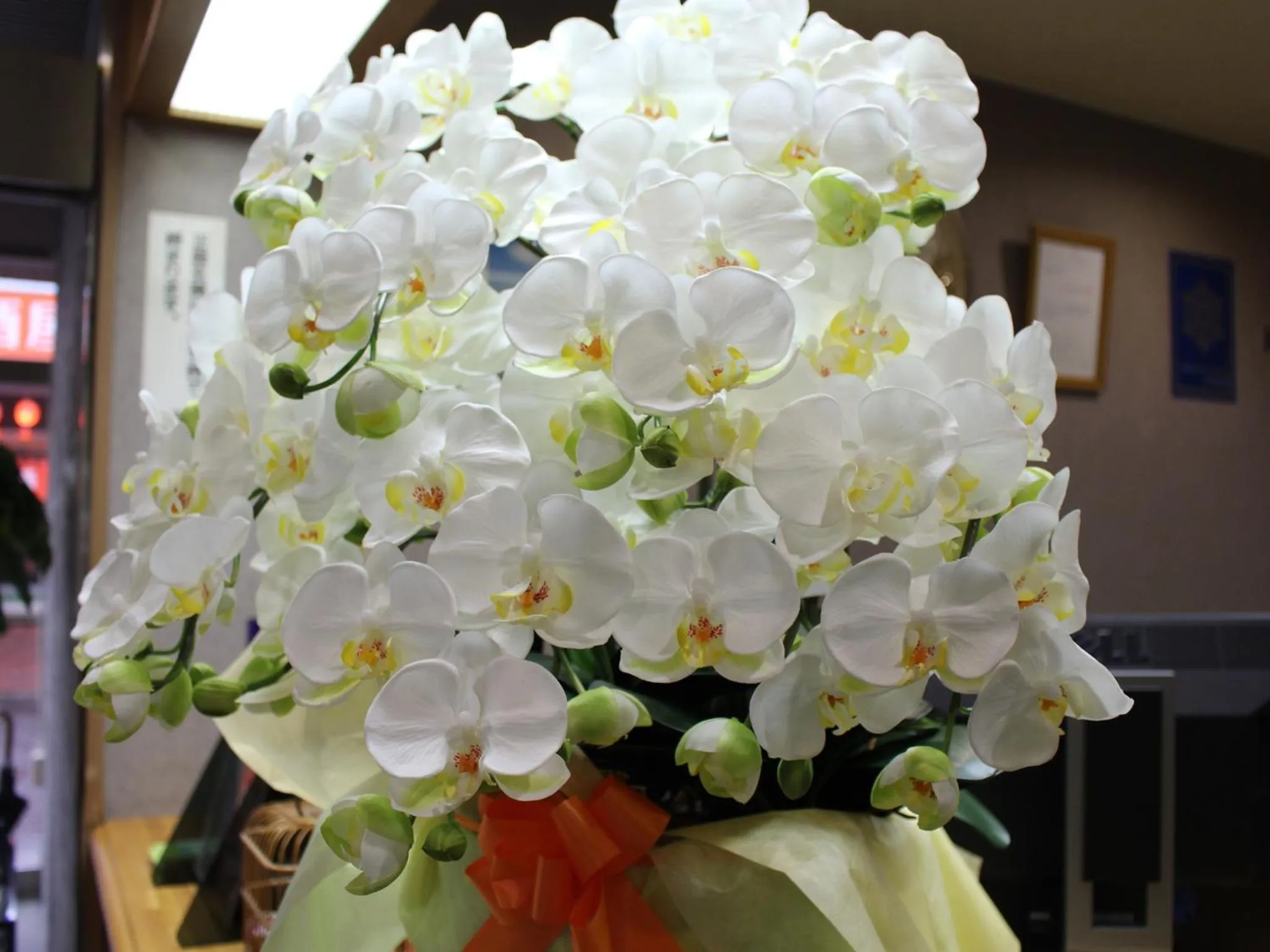 Other in Hotel Trend Asahikawa