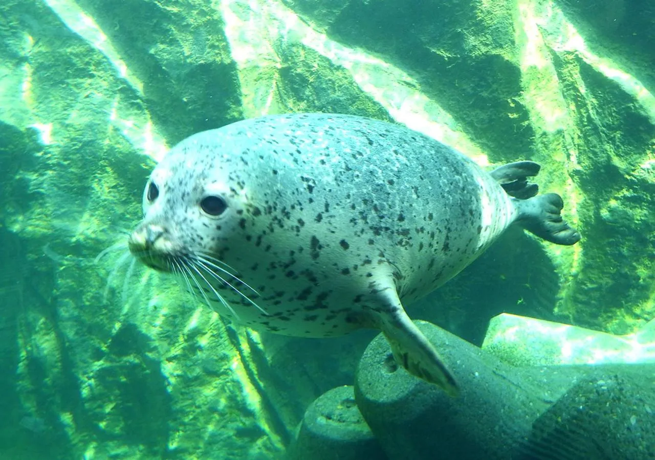 Nearby landmark in Hotel Trend Asahikawa