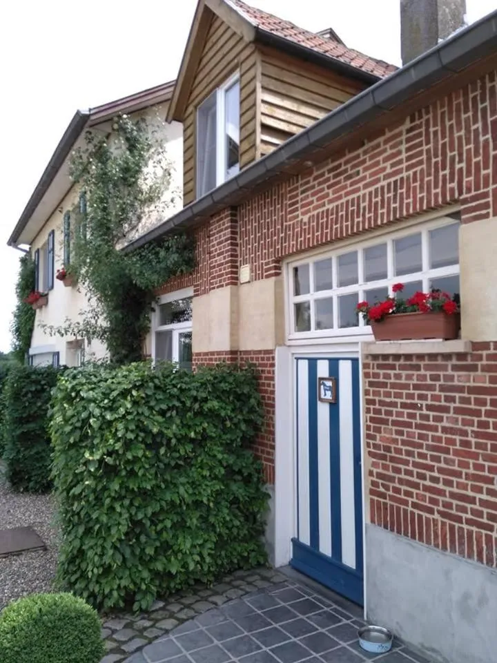 Summer in De Blauwe Maaten