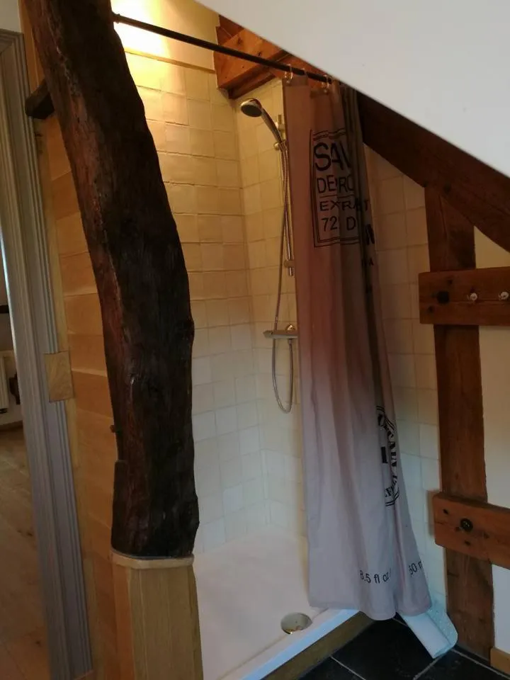 Bathroom in De Blauwe Maaten