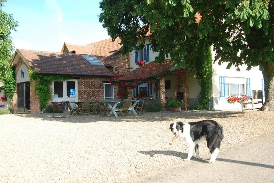 Pets in De Blauwe Maaten