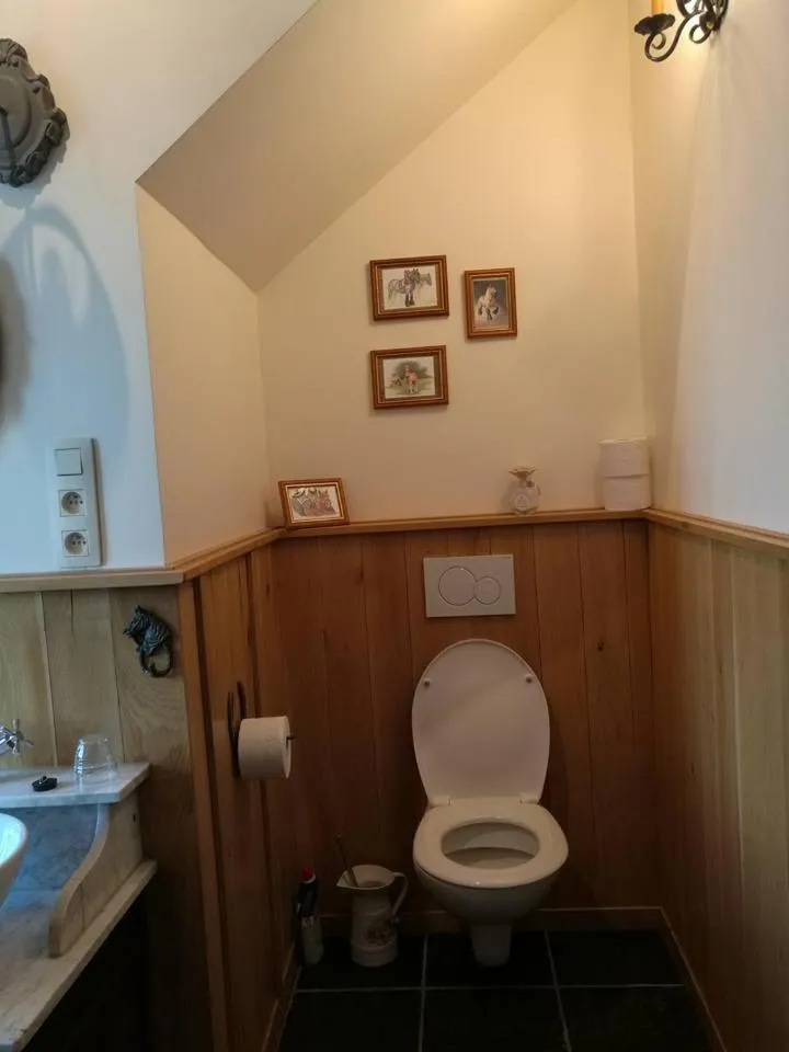 Bathroom in De Blauwe Maaten