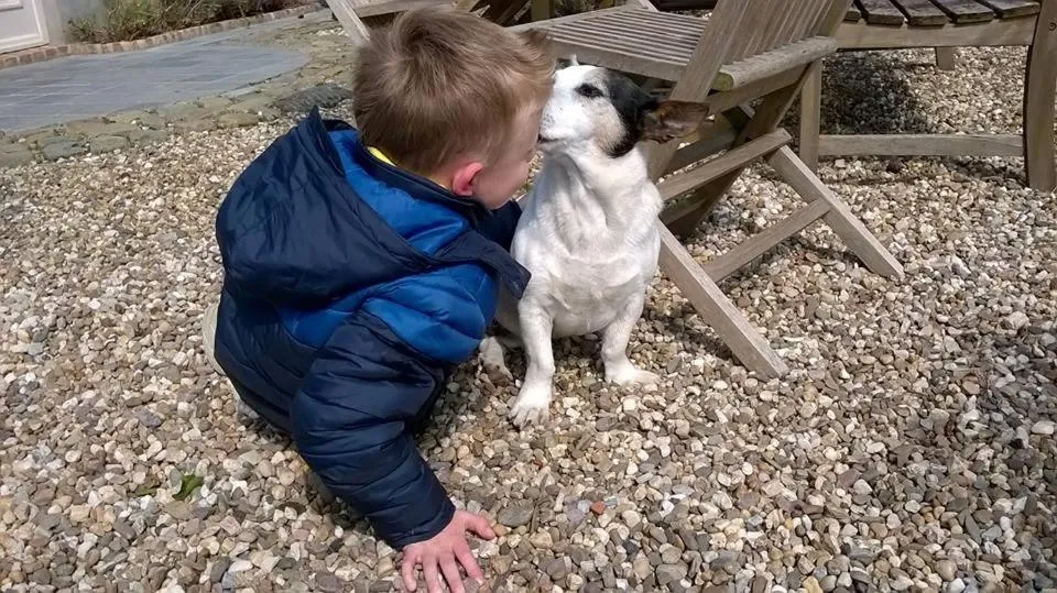 Property building in De Blauwe Maaten