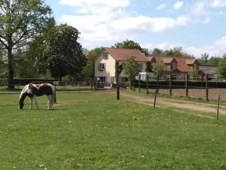 Natural landscape in De Blauwe Maaten