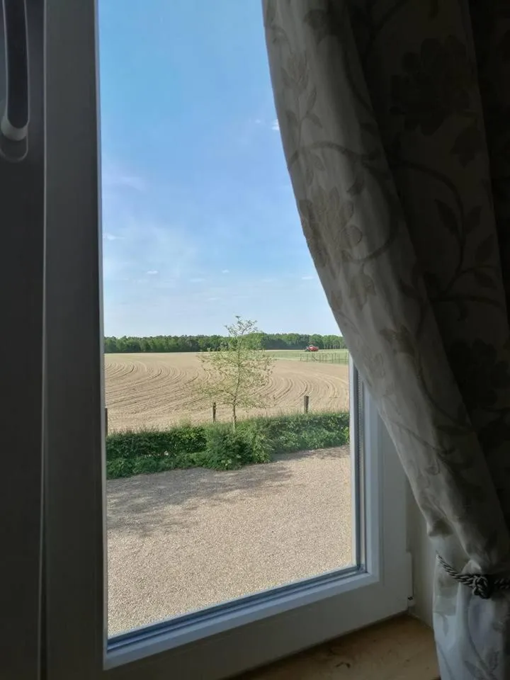 Garden view in De Blauwe Maaten