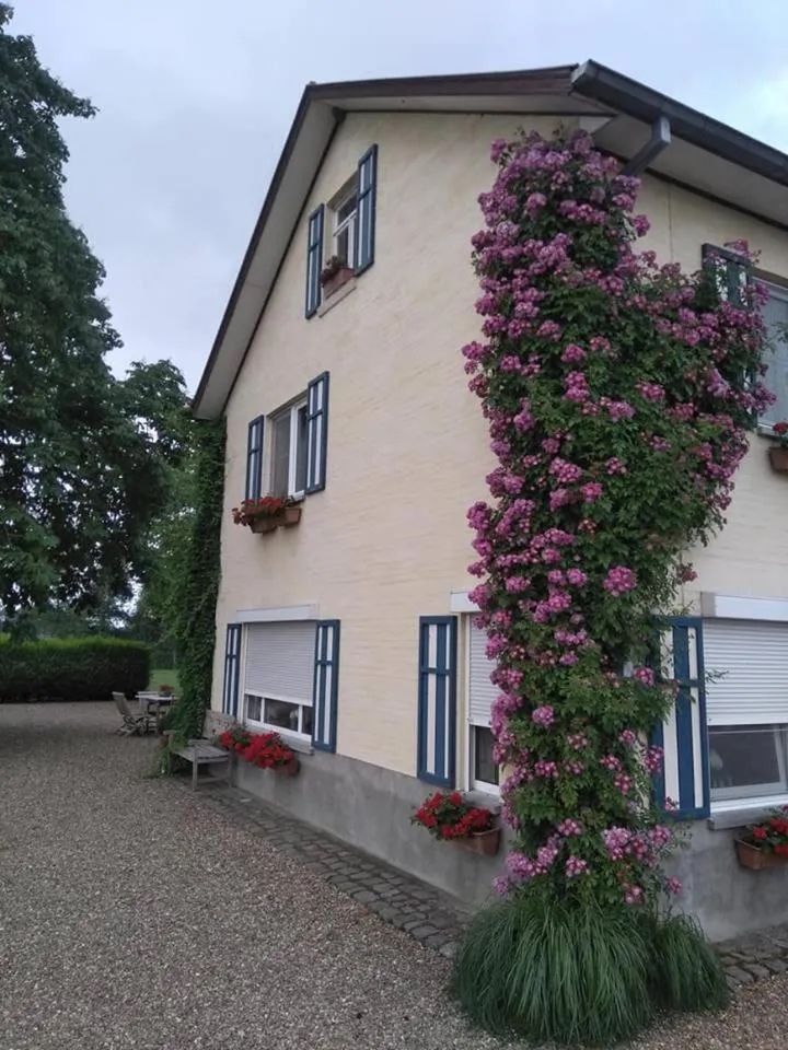 Balcony/Terrace in De Blauwe Maaten
